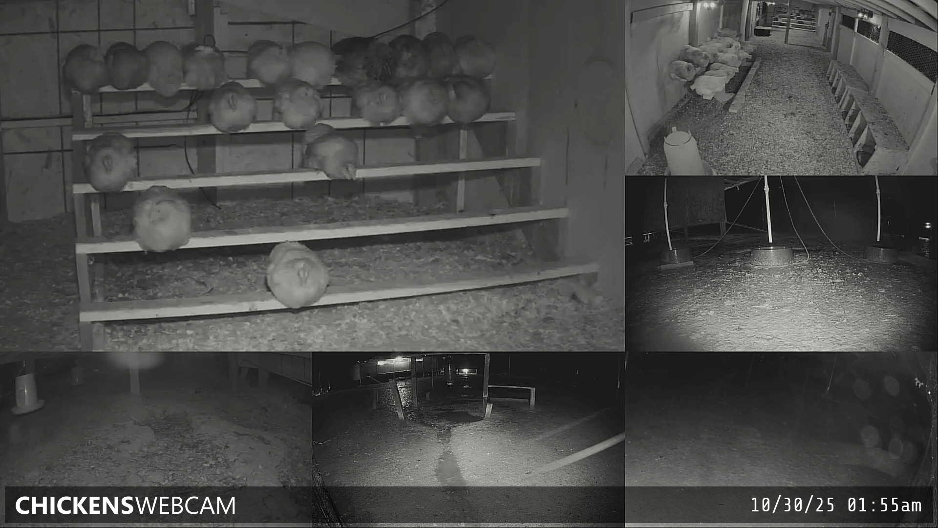 Twitch Stream Preview