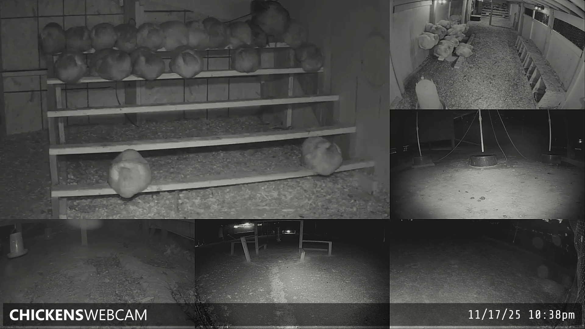 Twitch Stream Preview