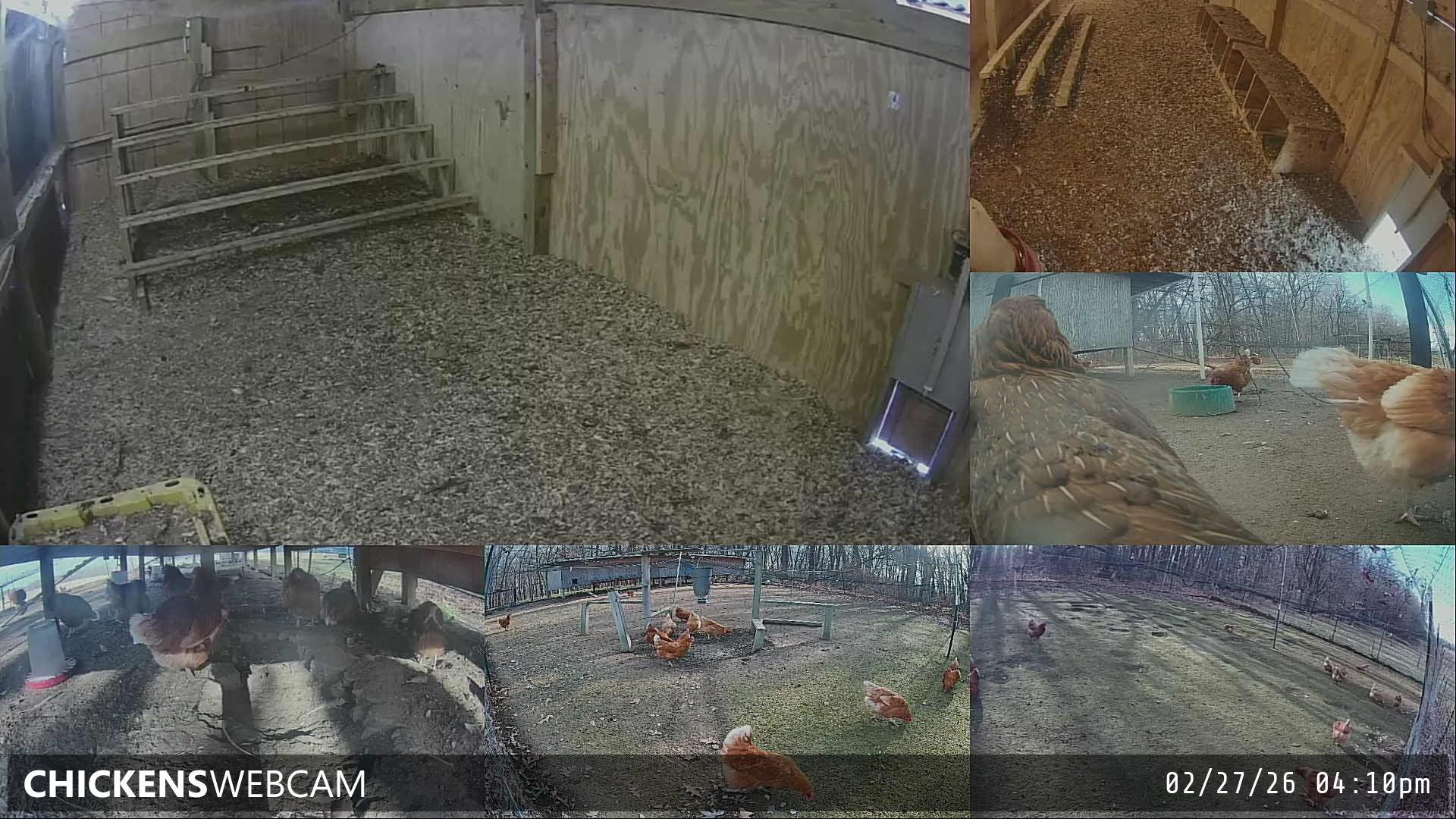 Twitch Stream Preview