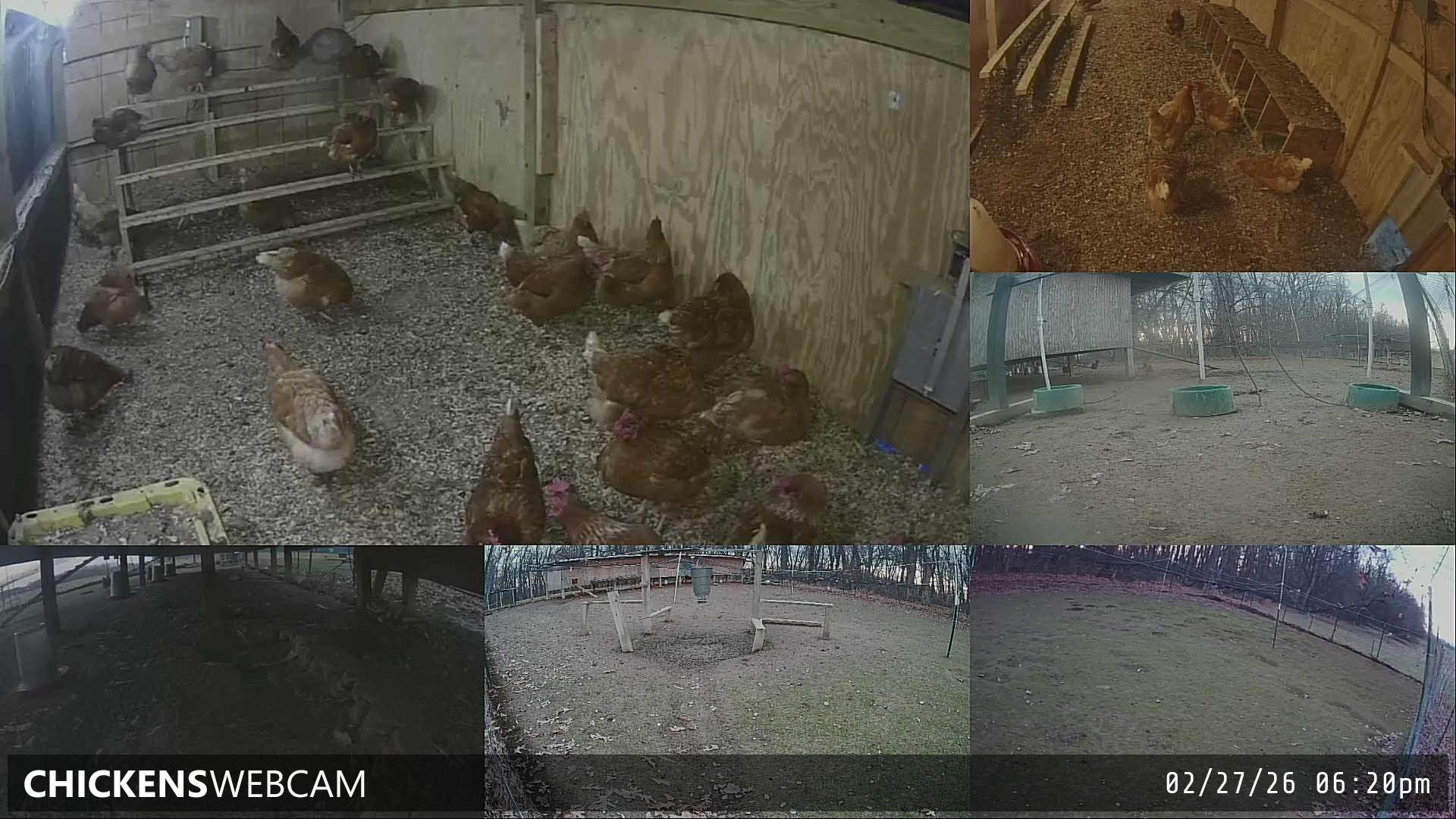 Twitch Stream Preview