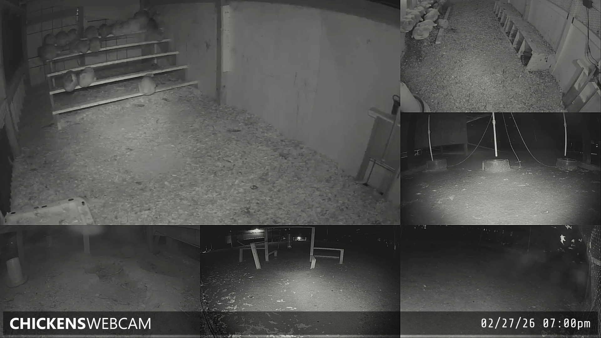 Twitch Stream Preview