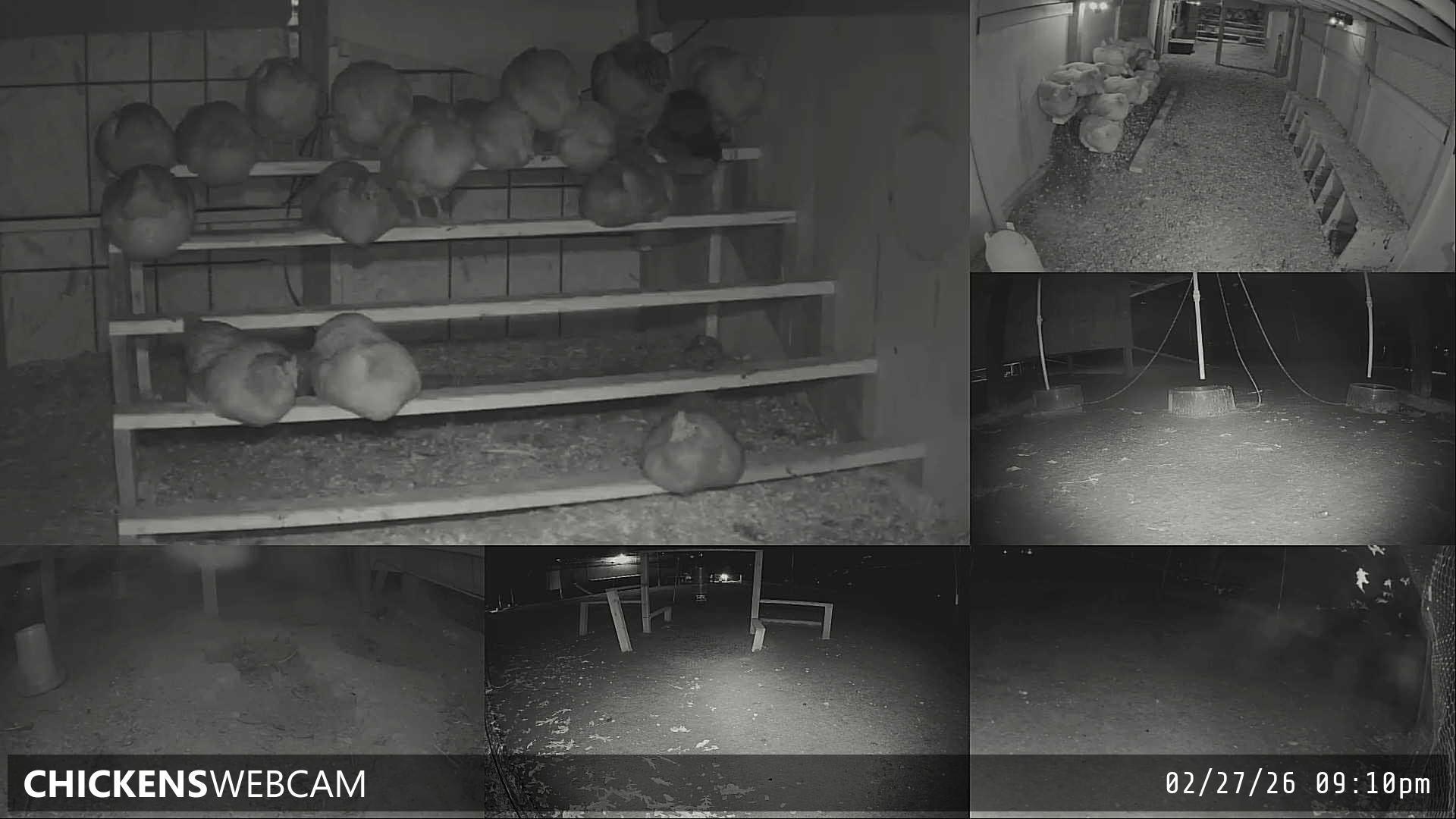 Twitch Stream Preview