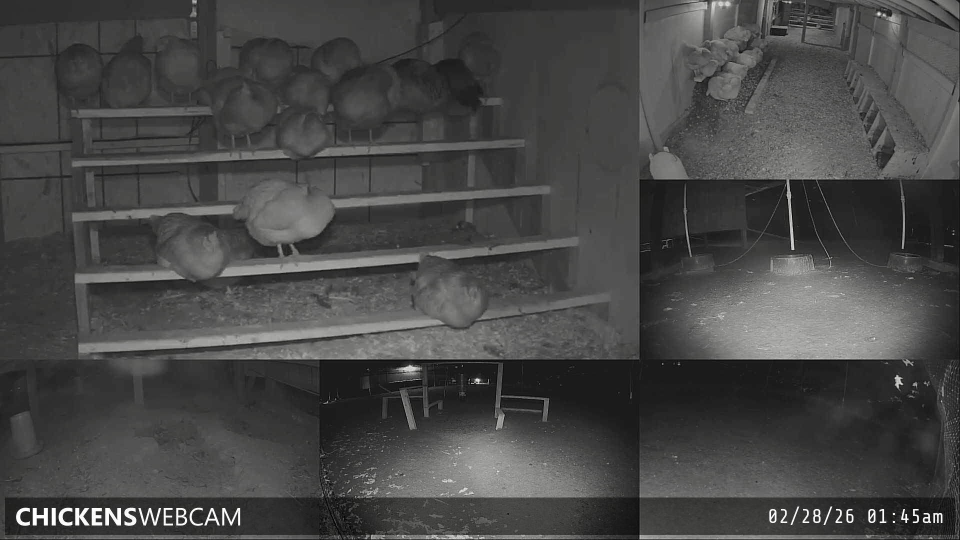 Twitch Stream Preview