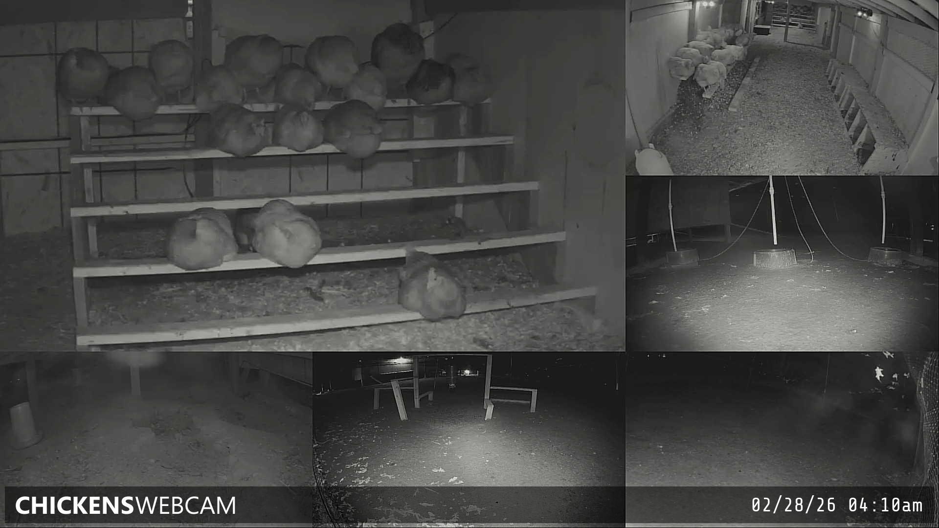 Twitch Stream Preview