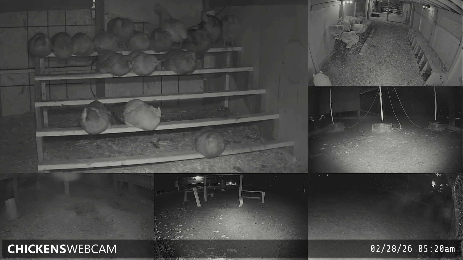 Twitch Stream Preview