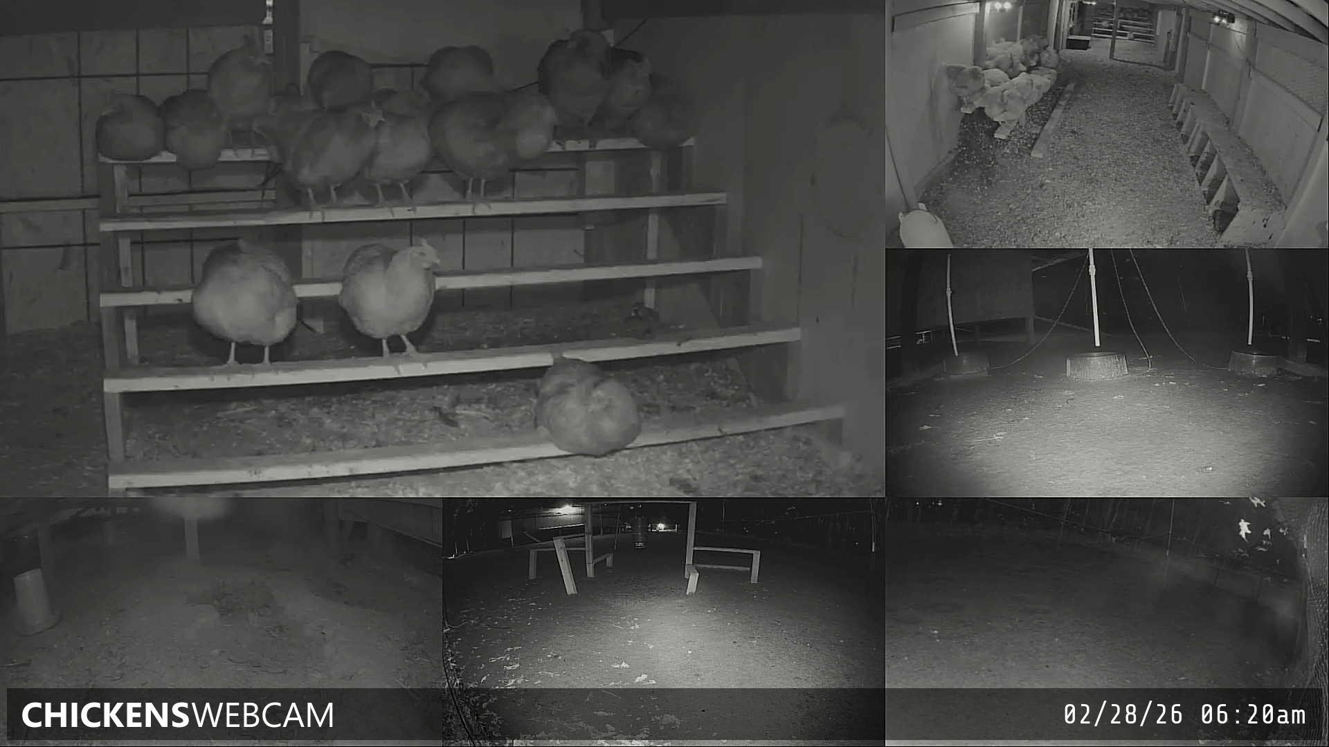 Twitch Stream Preview