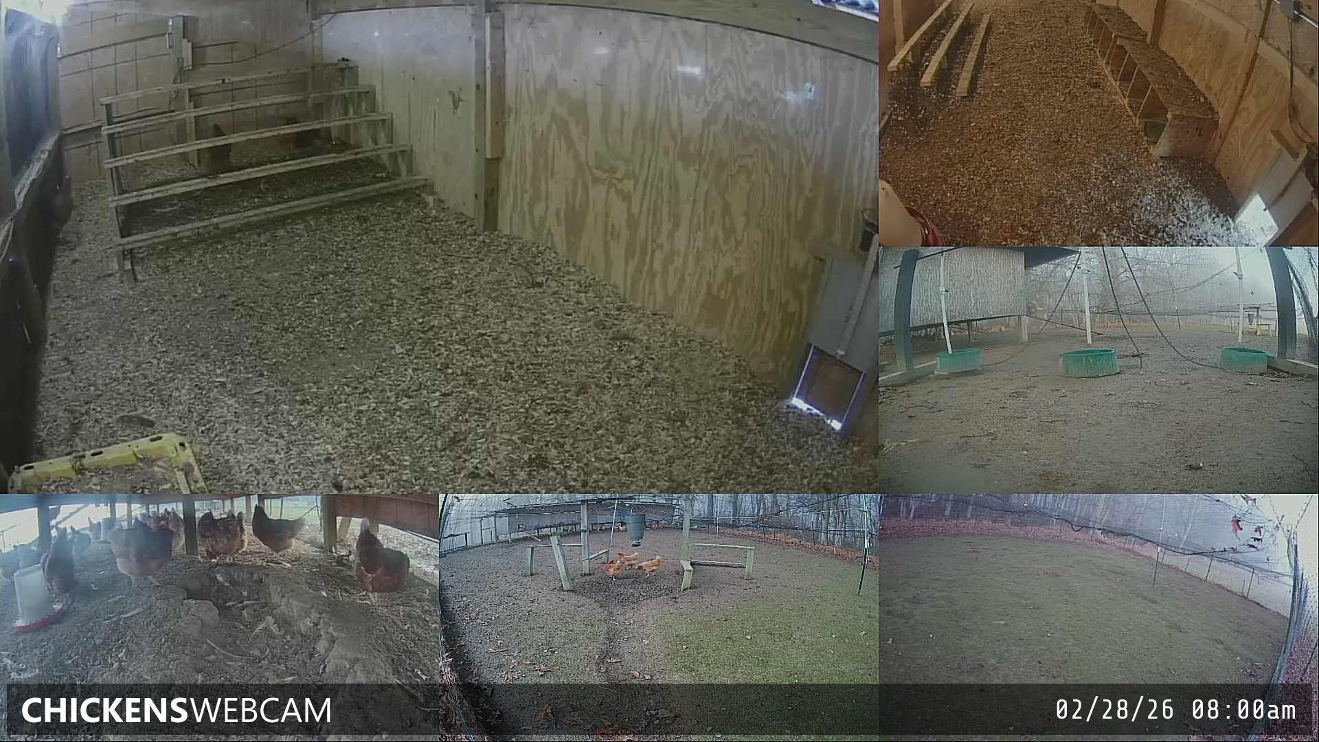 Twitch Stream Preview