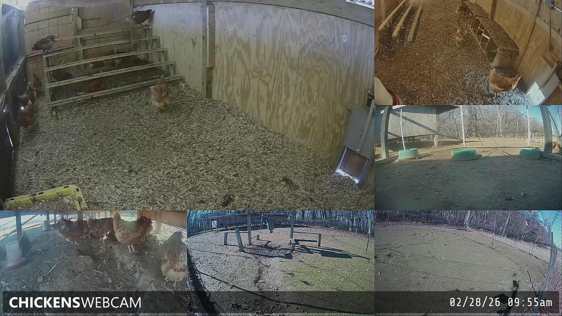 Twitch Stream Preview