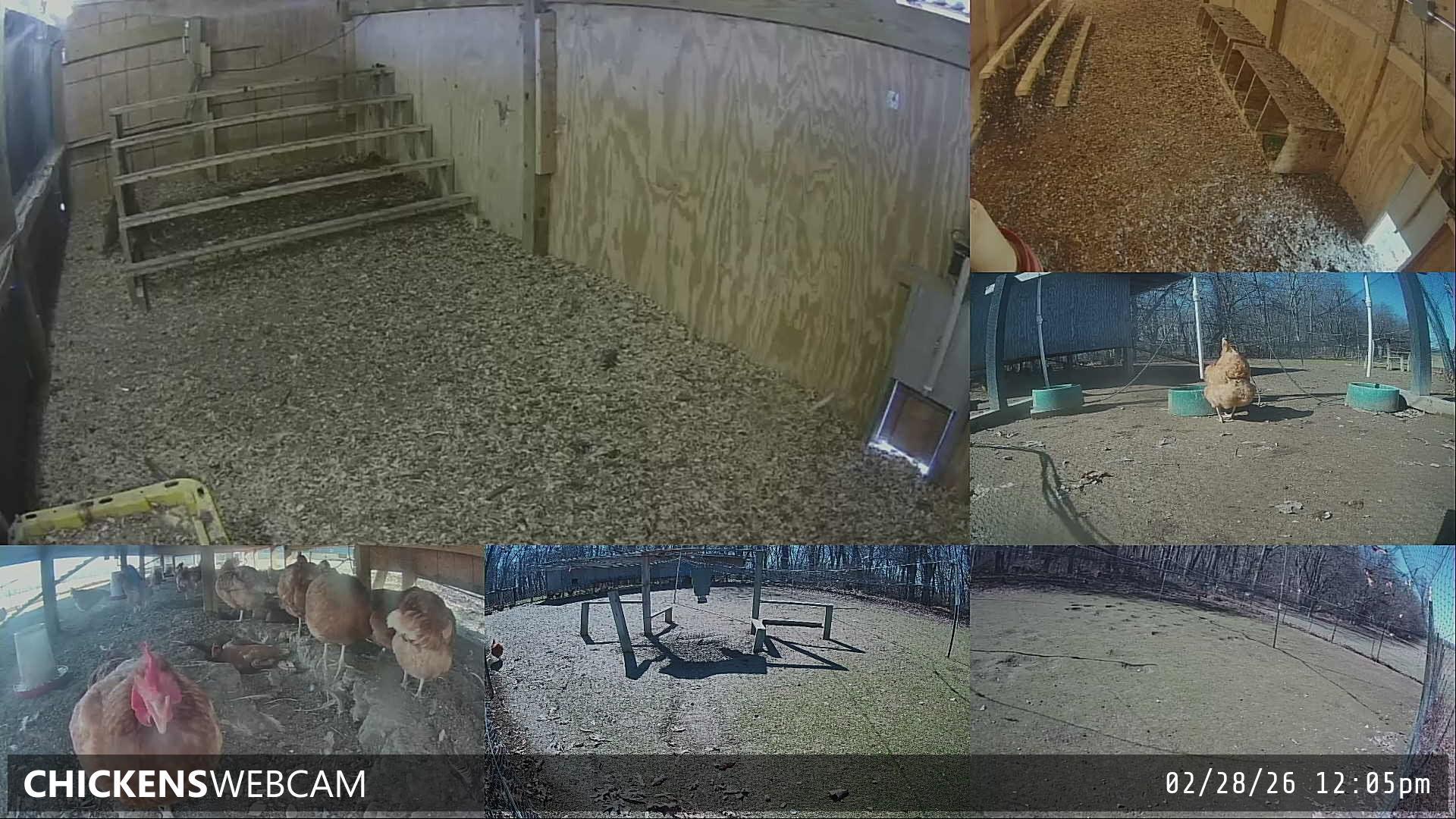 Twitch Stream Preview