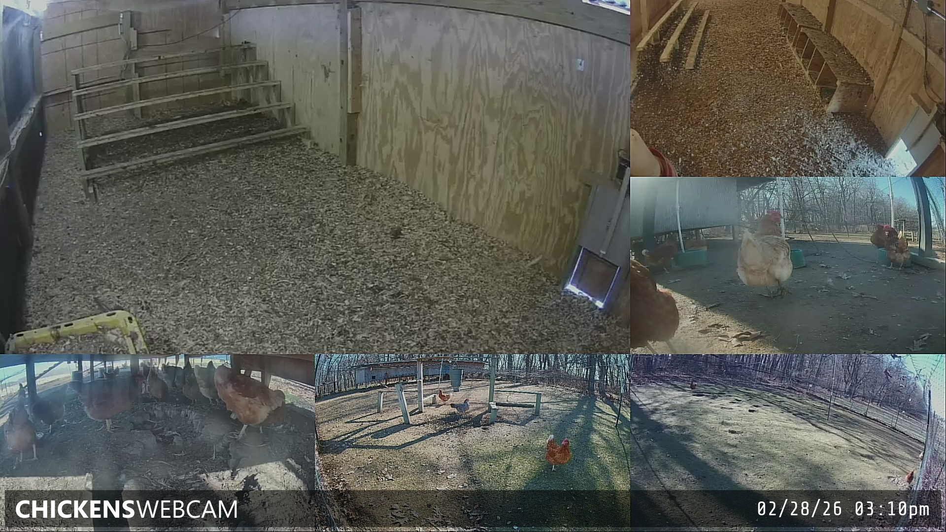 Twitch Stream Preview