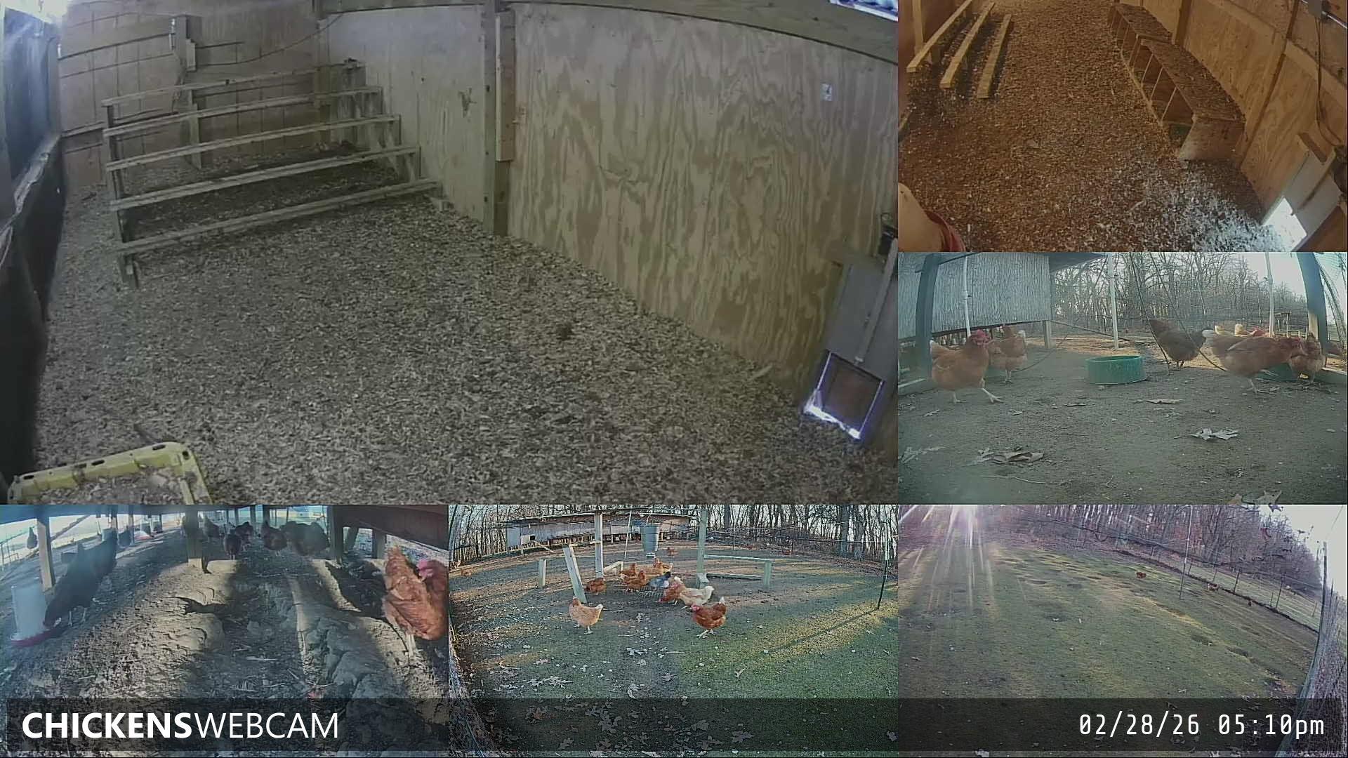 Twitch Stream Preview