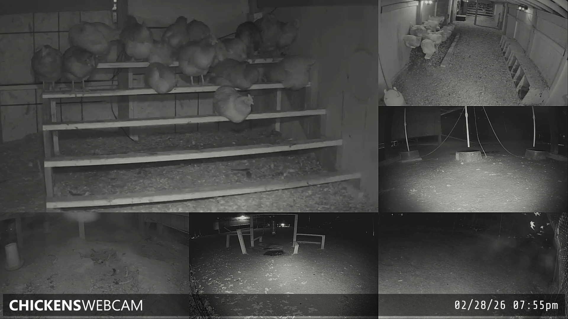 Twitch Stream Preview