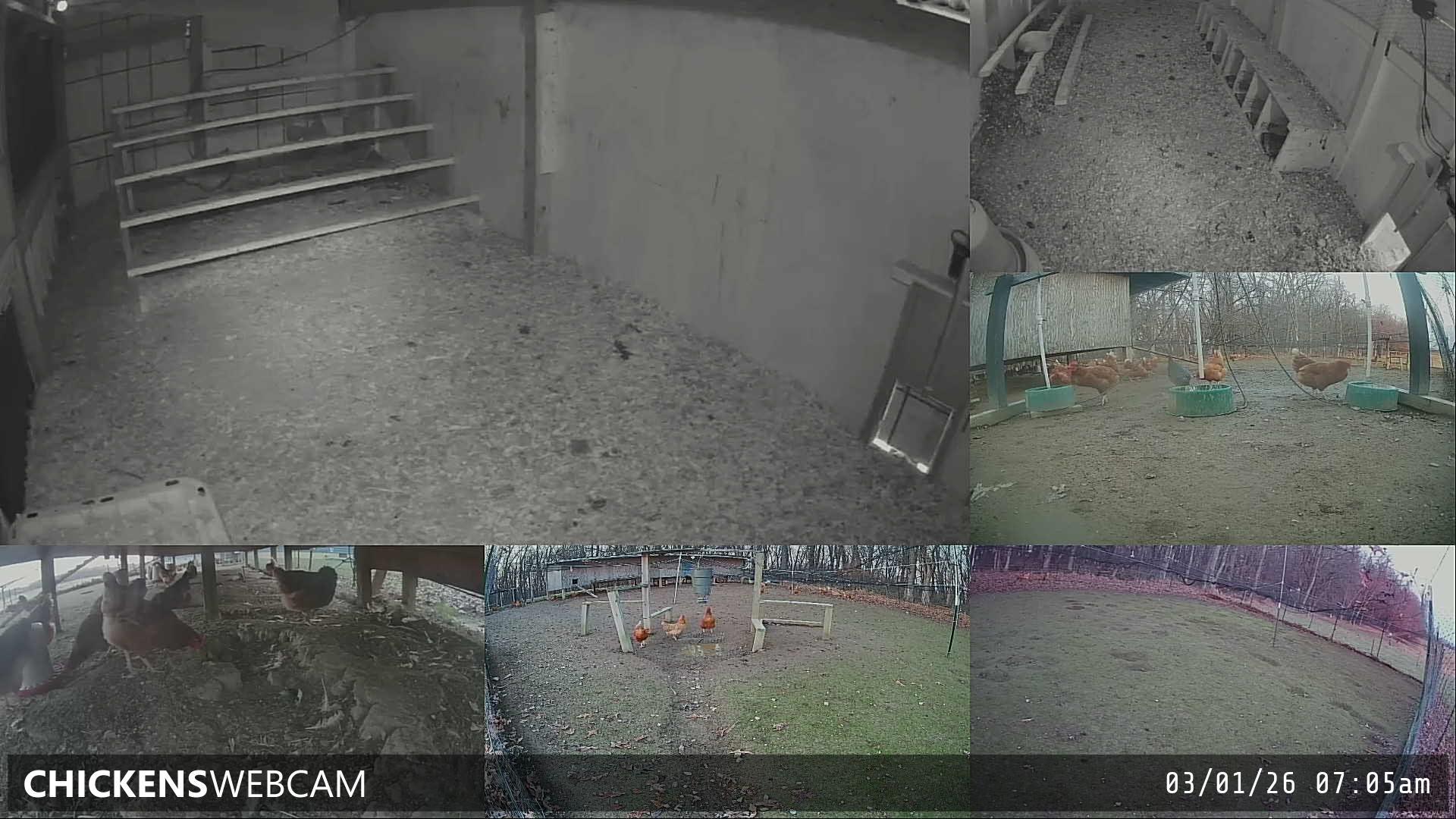 Twitch Stream Preview