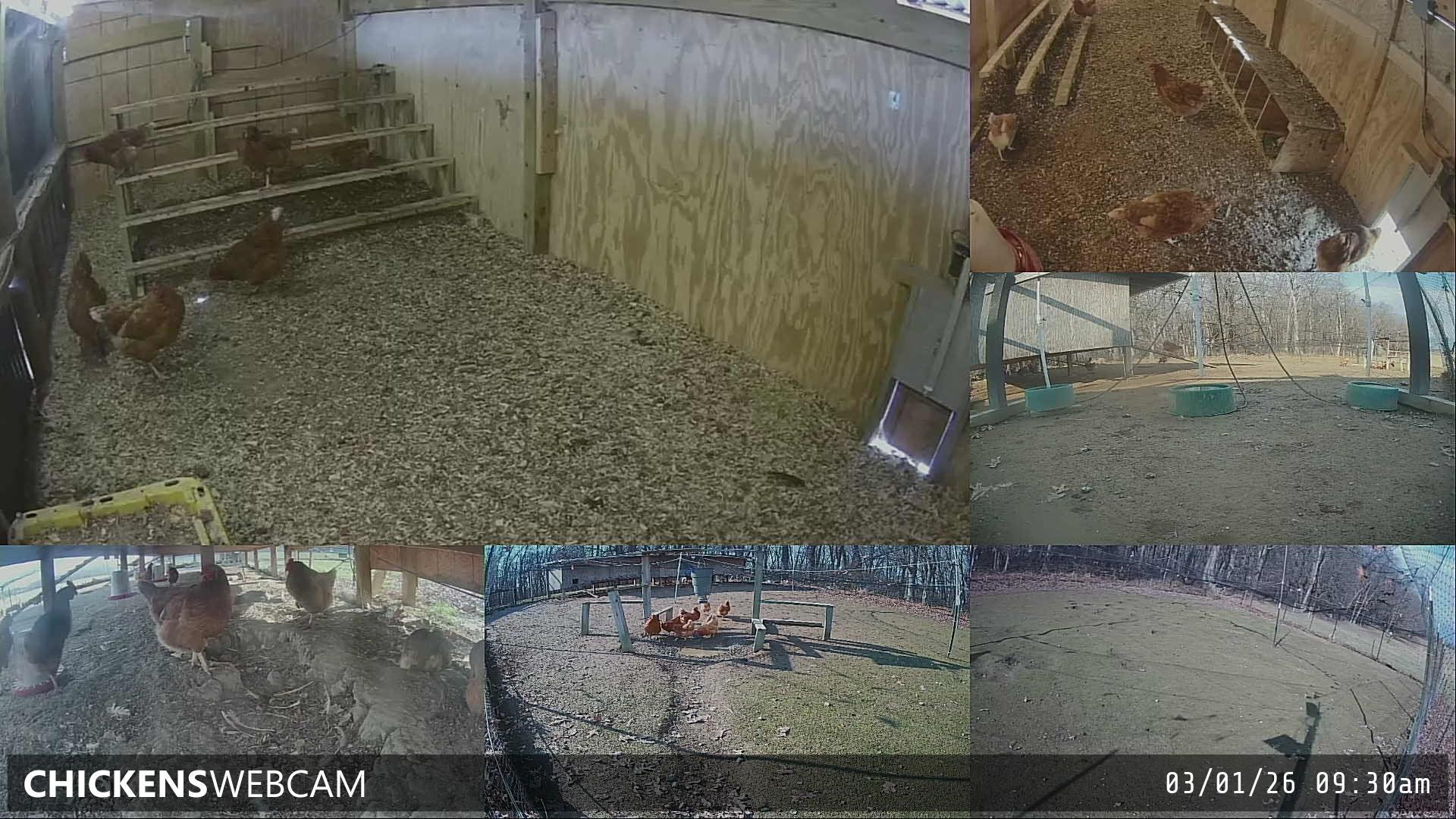 Twitch Stream Preview