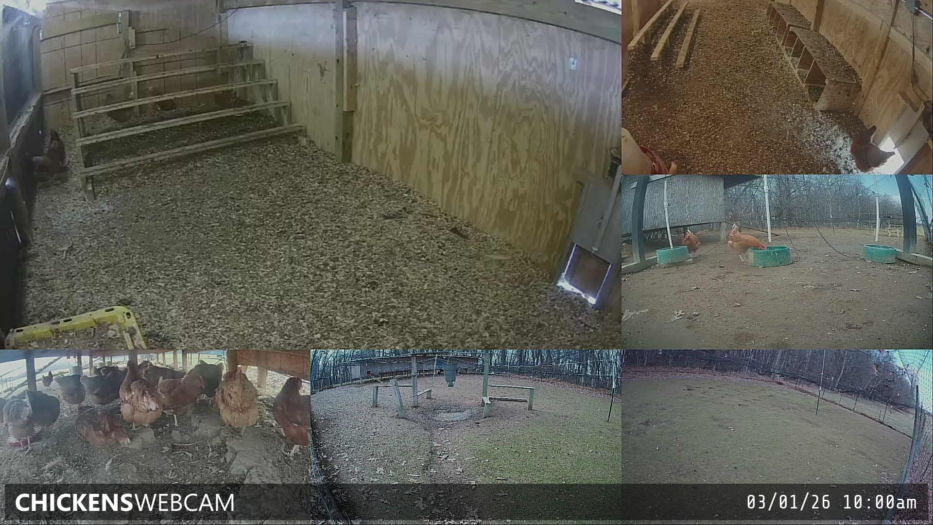 Twitch Stream Preview