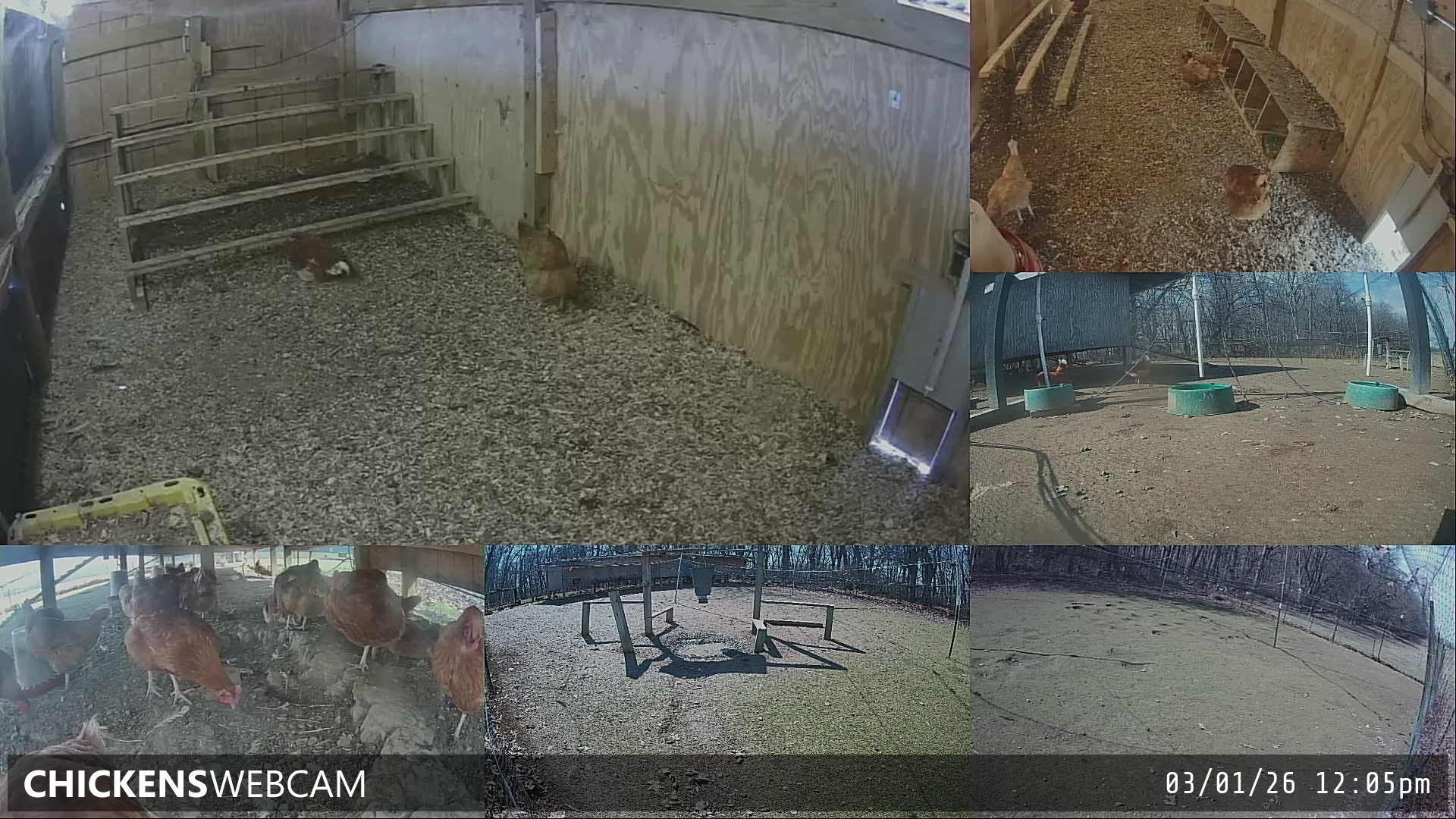 Twitch Stream Preview