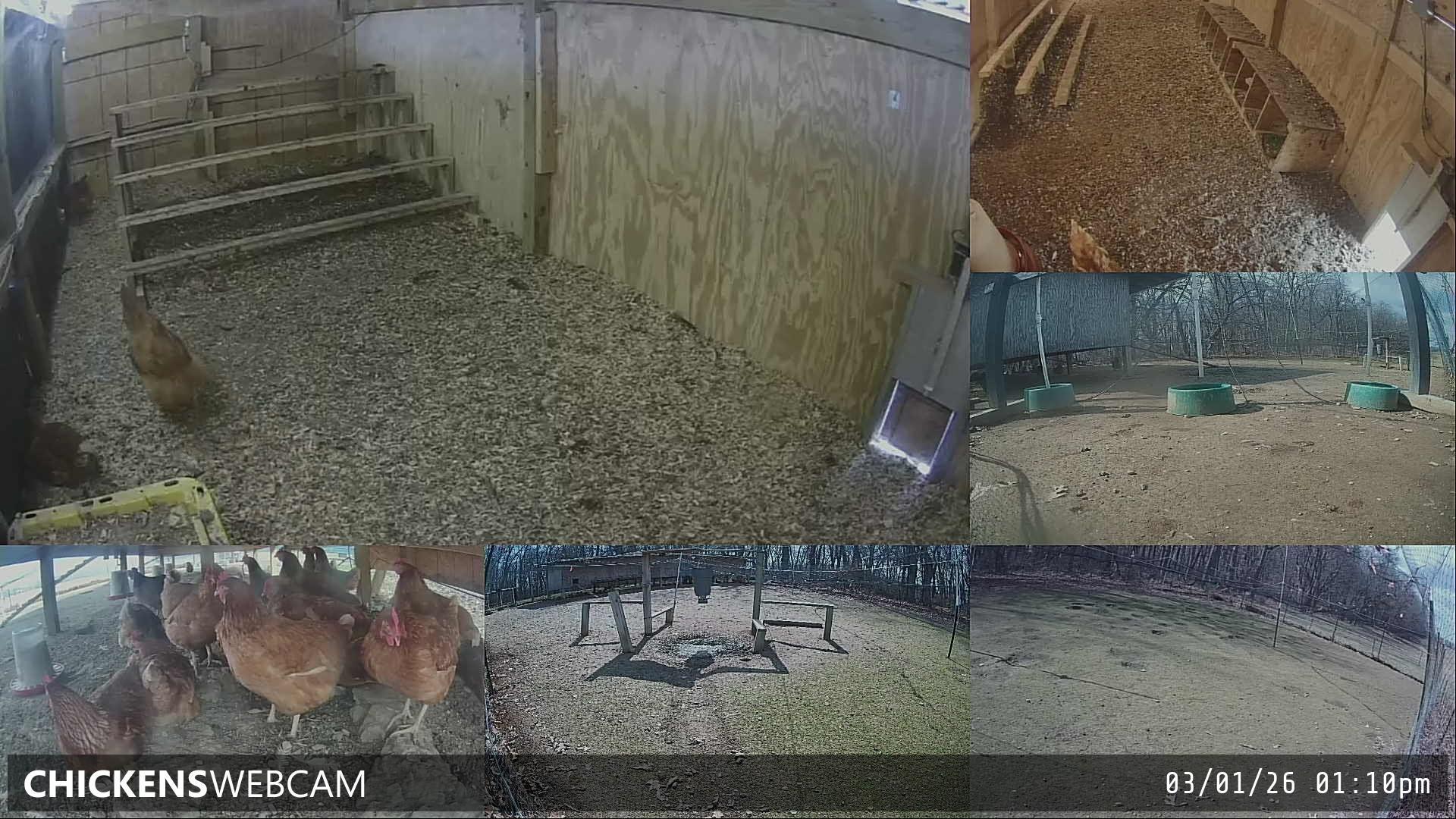 Twitch Stream Preview