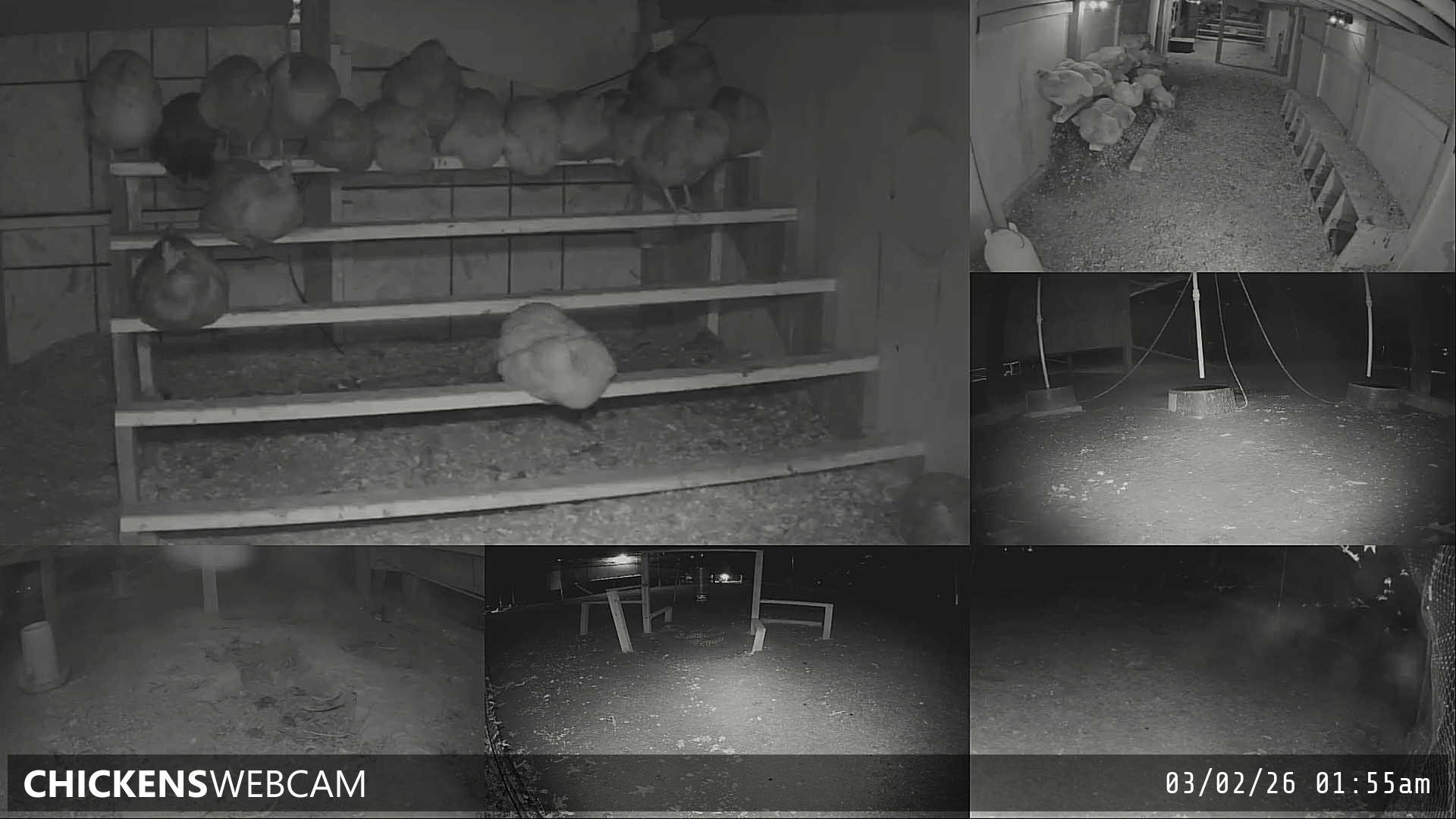 Twitch Stream Preview