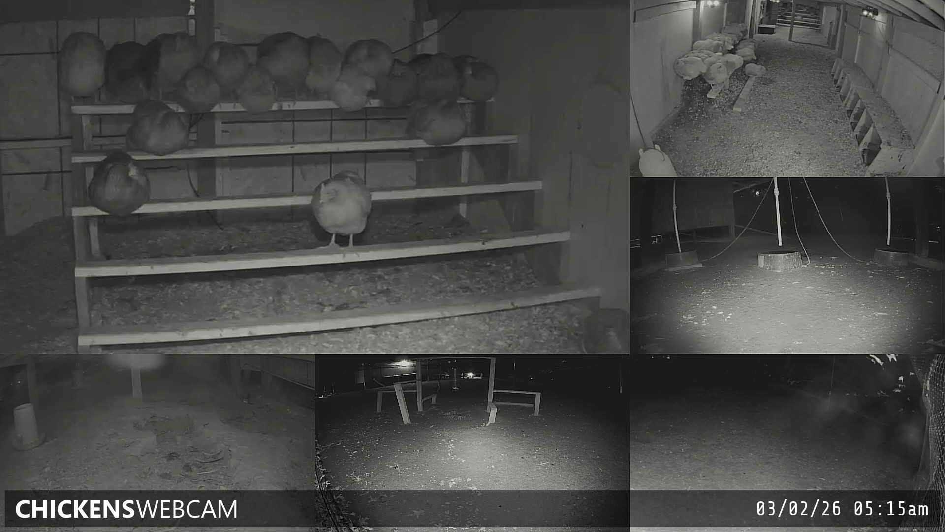 Twitch Stream Preview