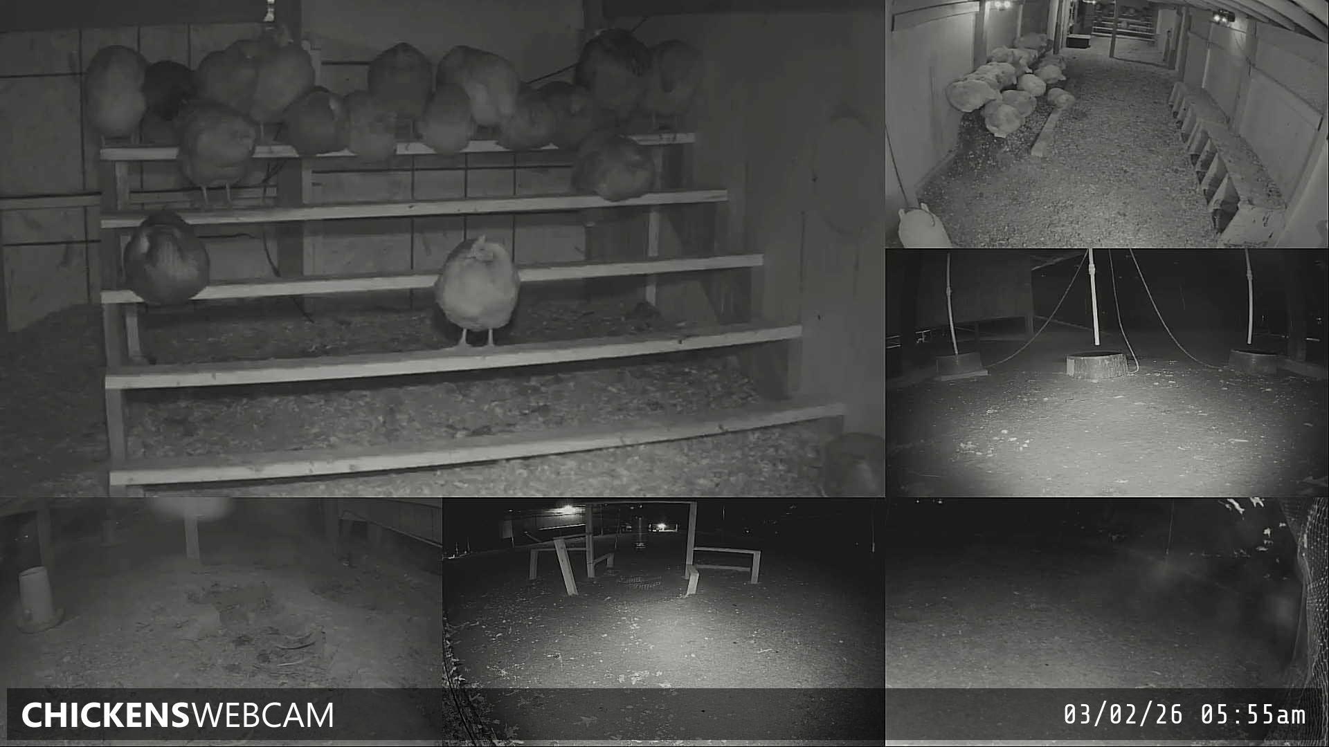 Twitch Stream Preview