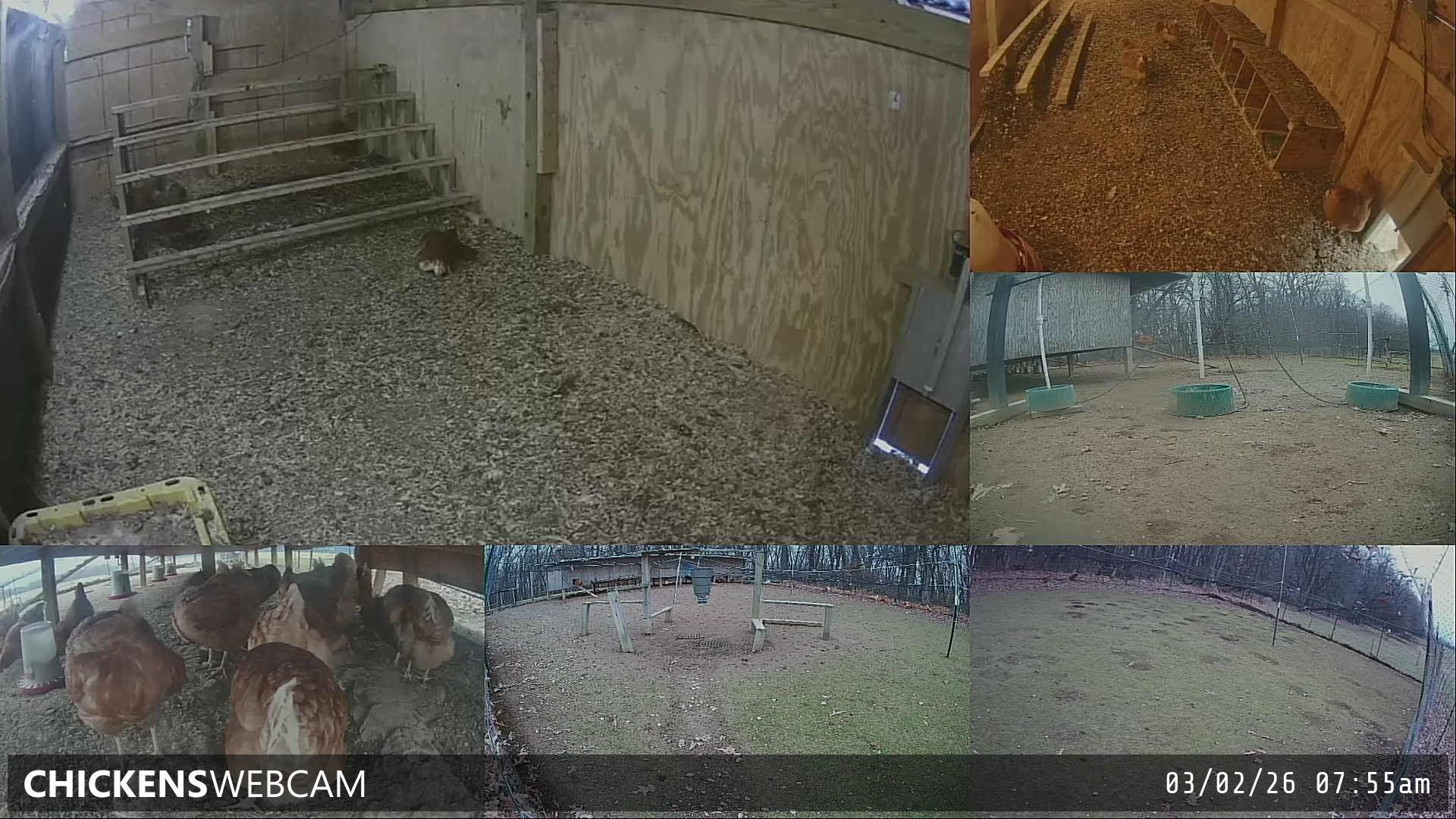 Twitch Stream Preview