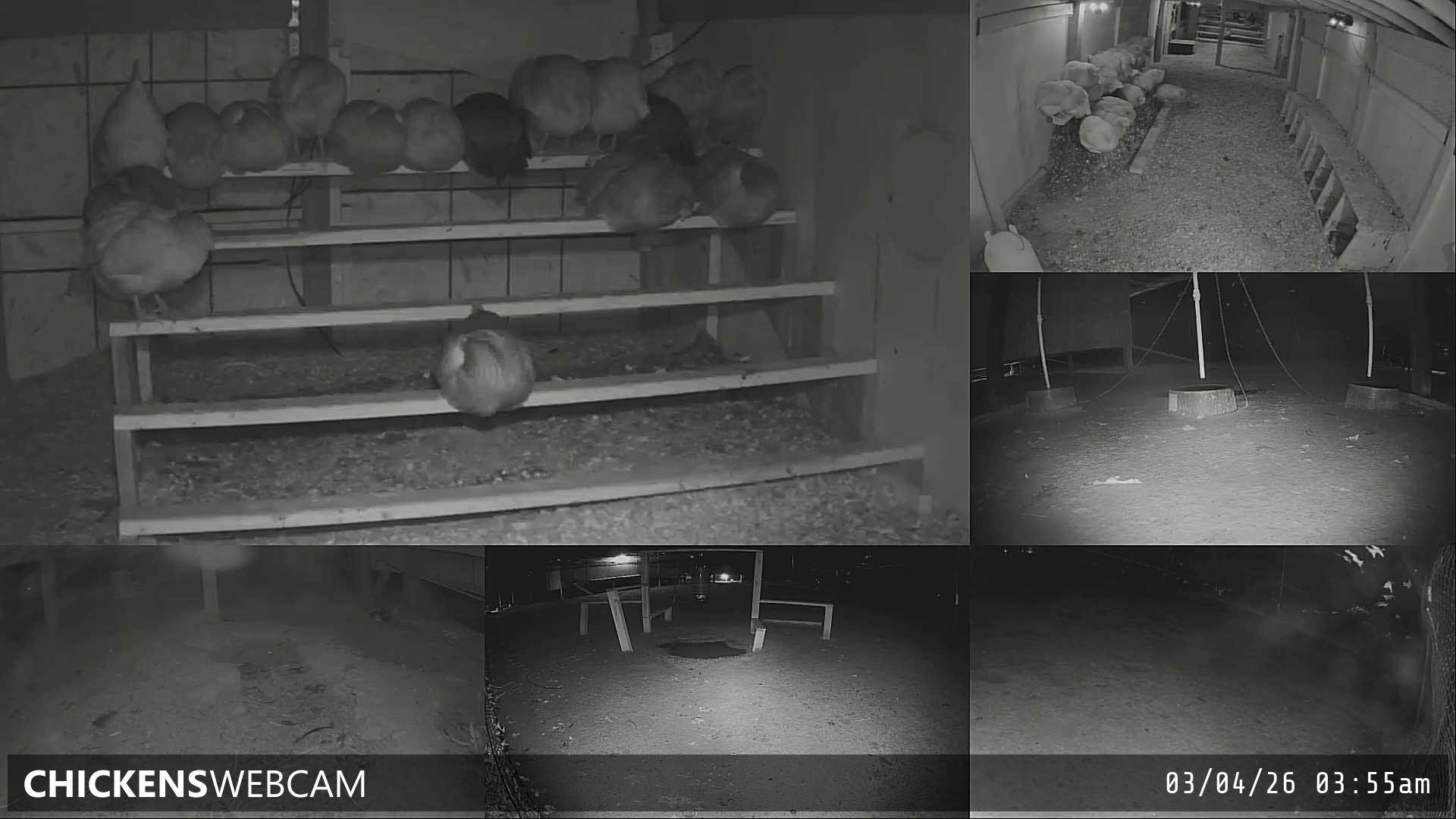 Twitch Stream Preview