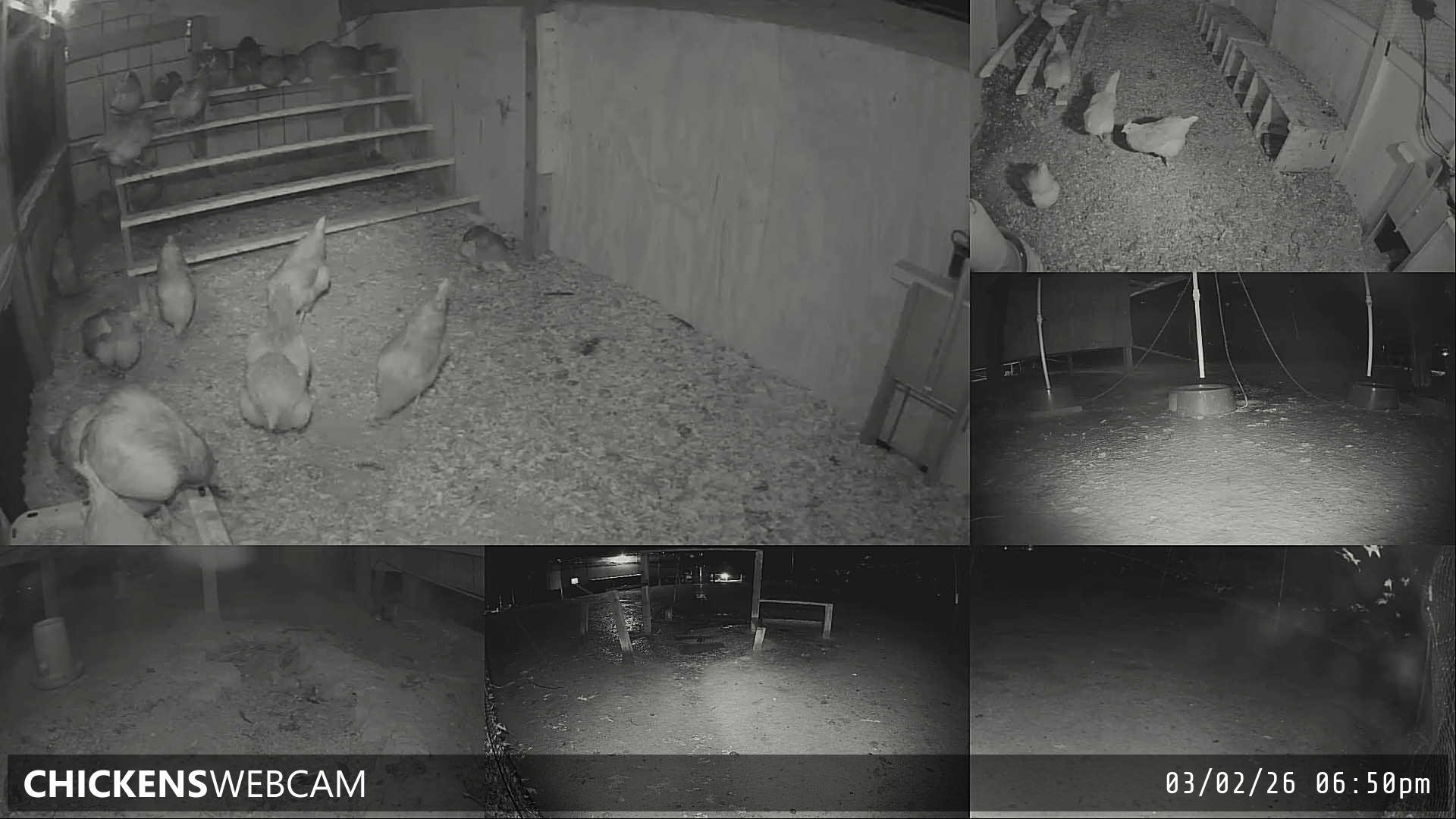 Twitch Stream Preview