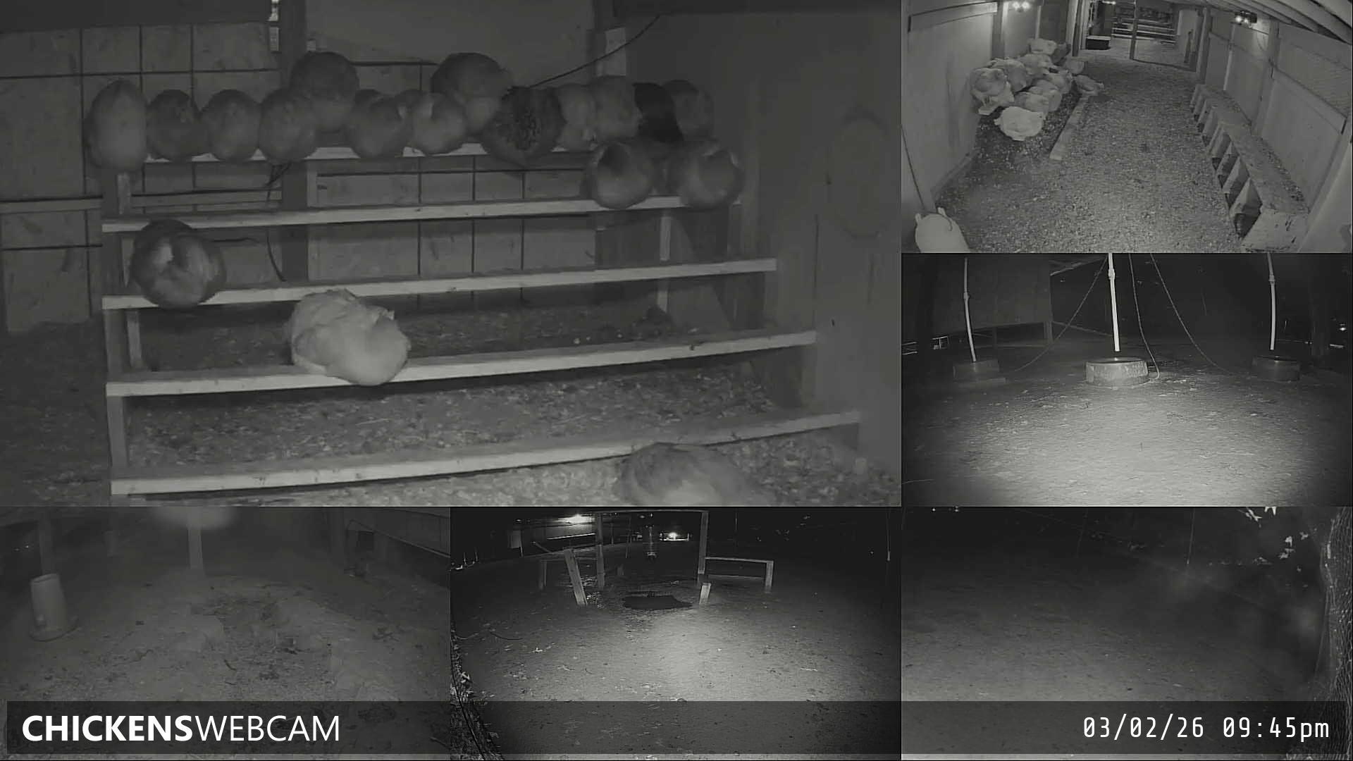 Twitch Stream Preview