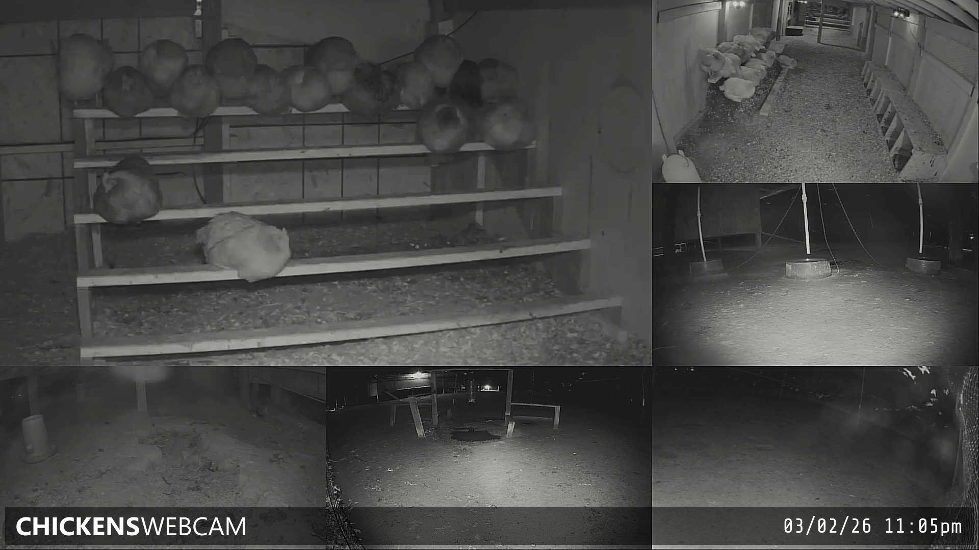 Twitch Stream Preview