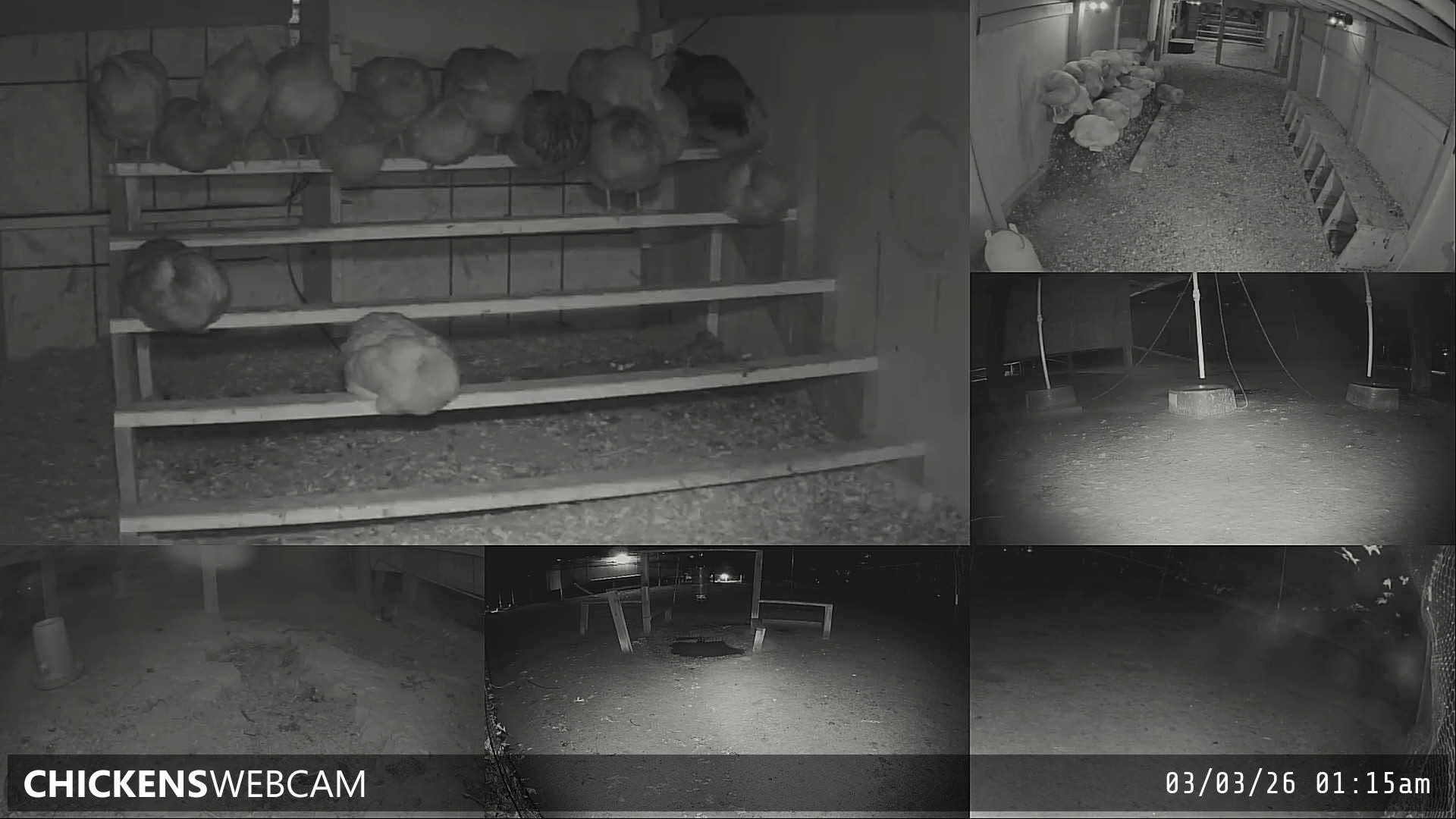 Twitch Stream Preview