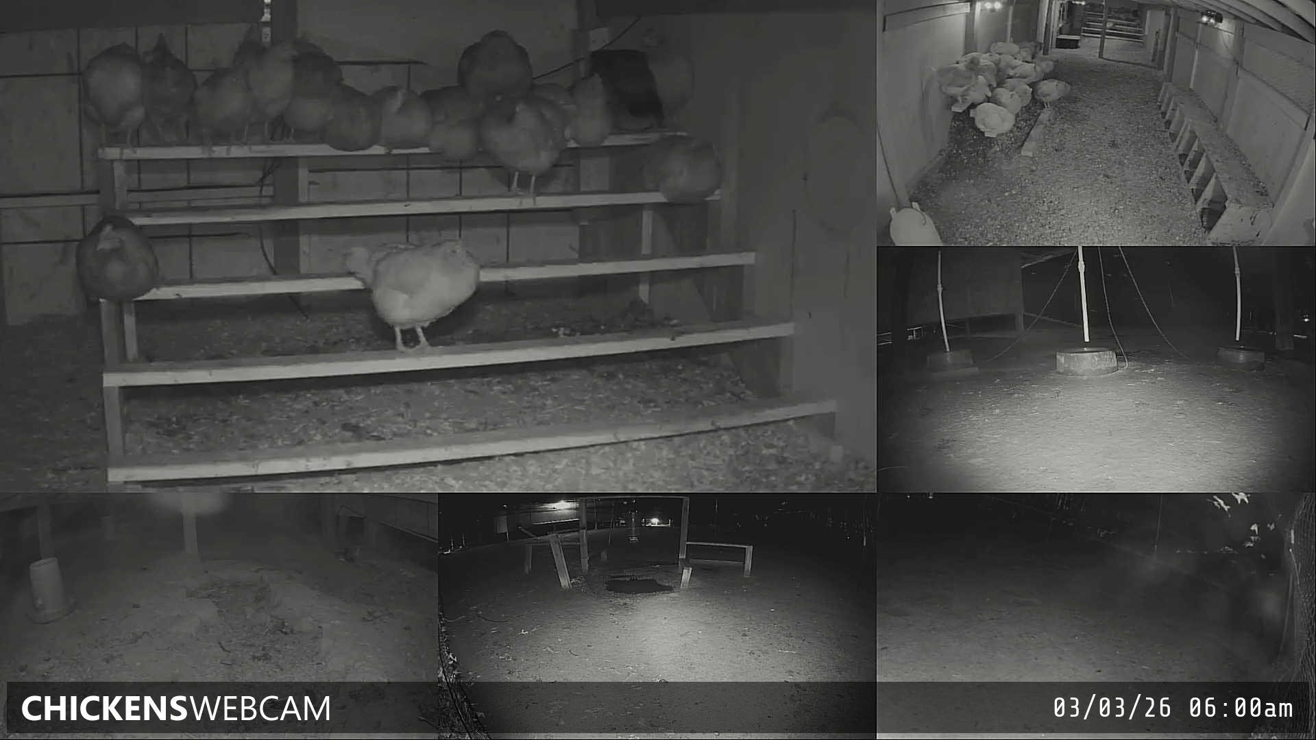 Twitch Stream Preview