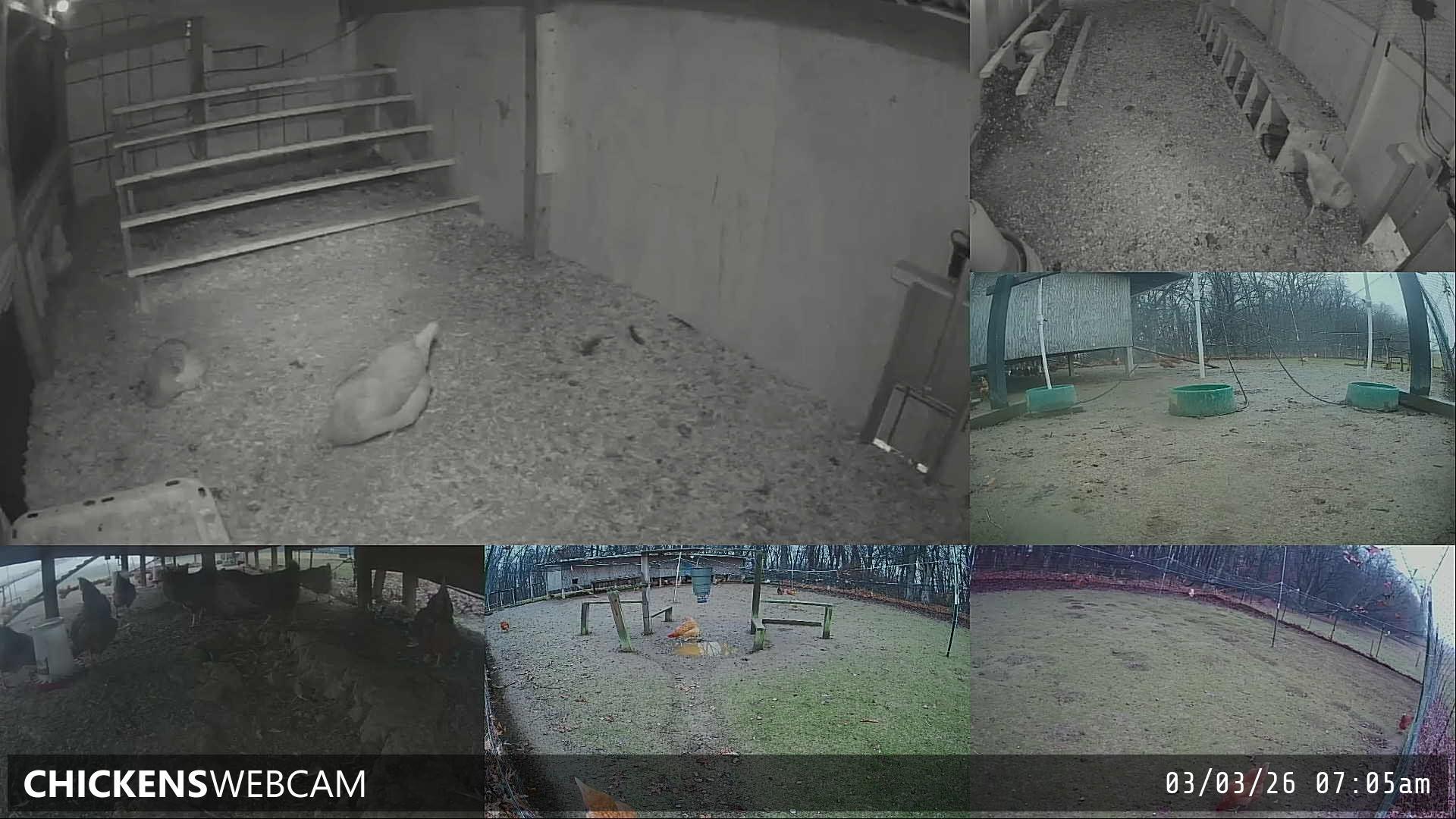 Twitch Stream Preview