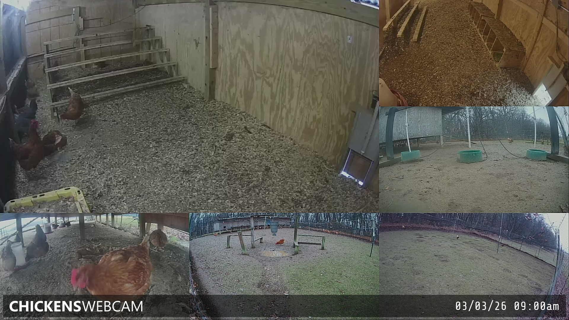 Twitch Stream Preview