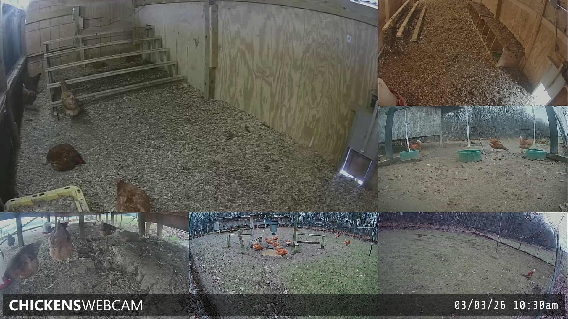 Twitch Stream Preview