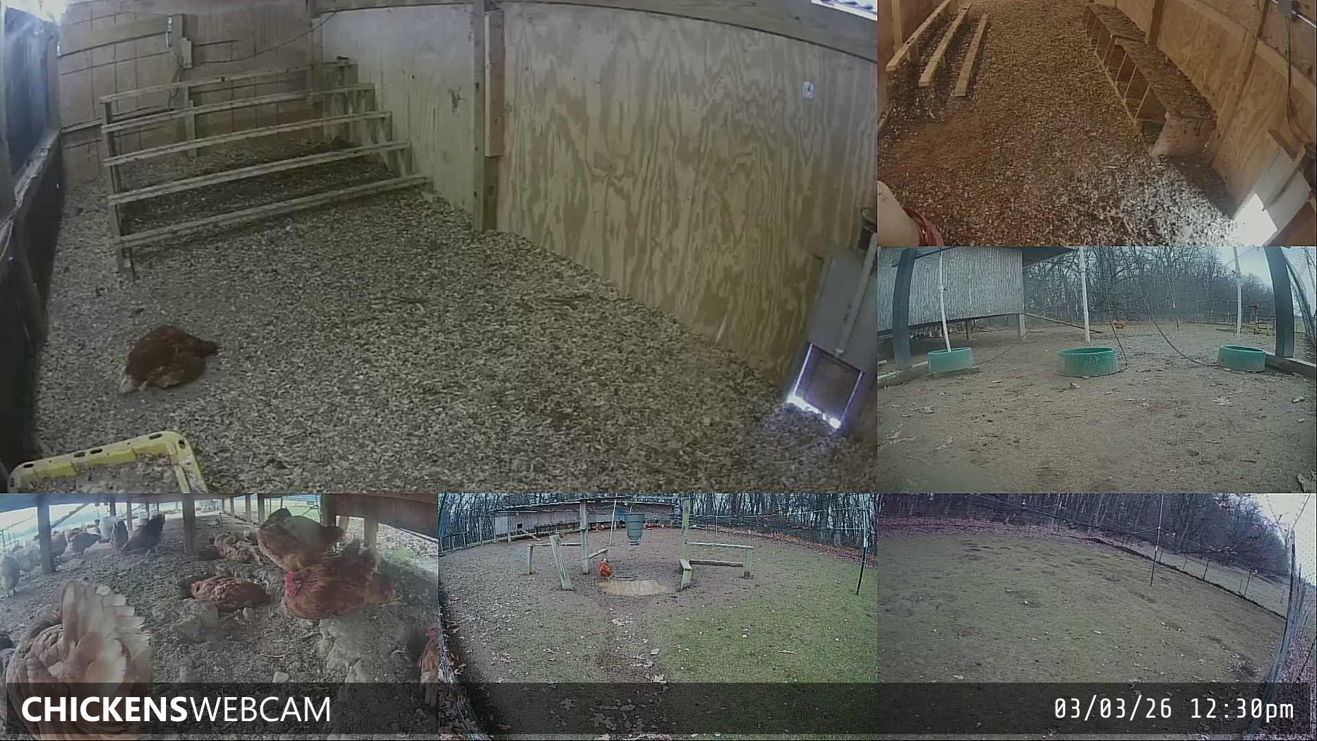 Twitch Stream Preview