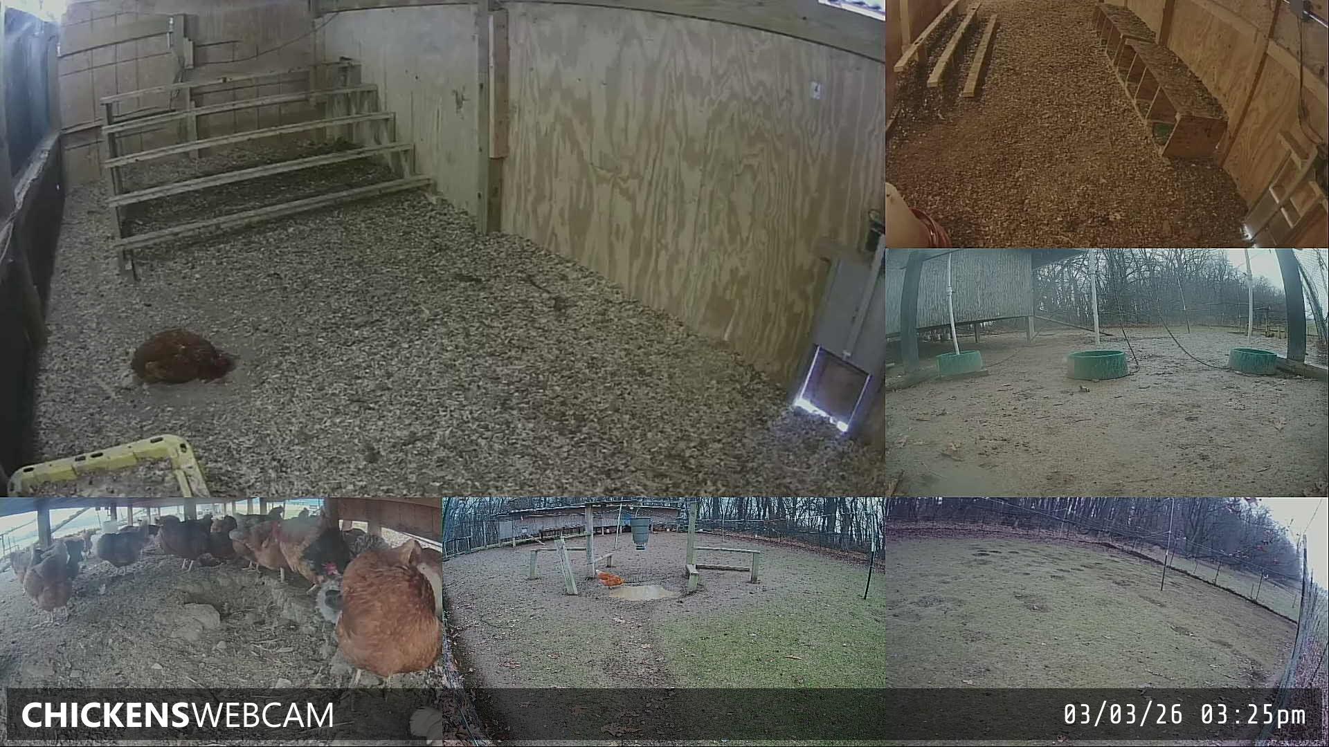 Twitch Stream Preview