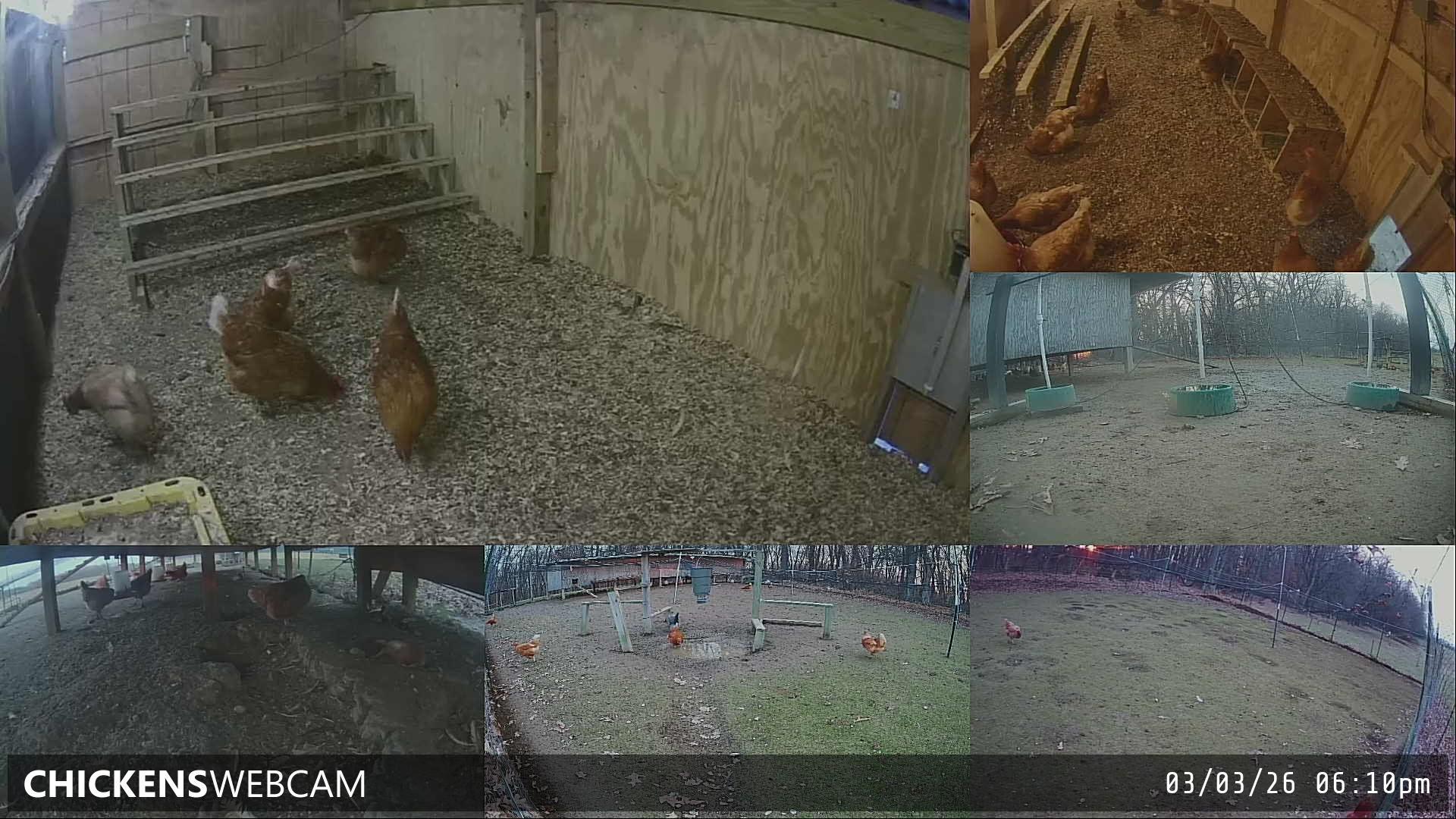 Twitch Stream Preview