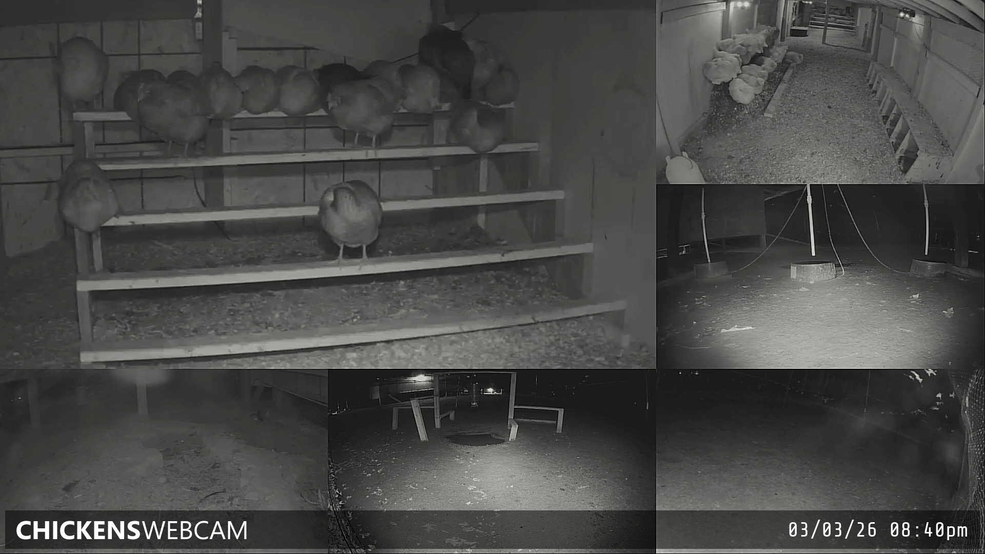 Twitch Stream Preview