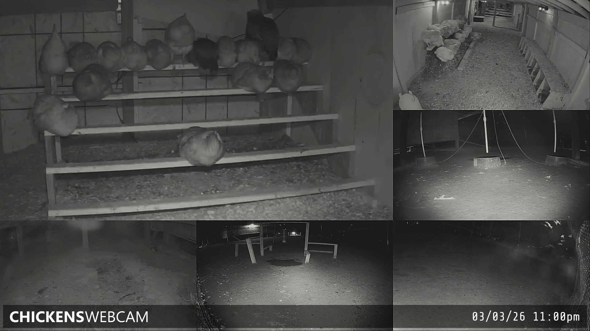 Twitch Stream Preview