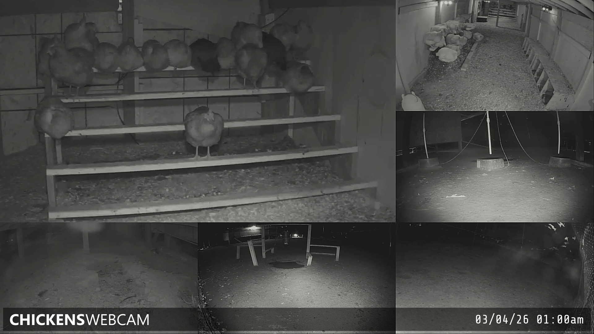 Twitch Stream Preview