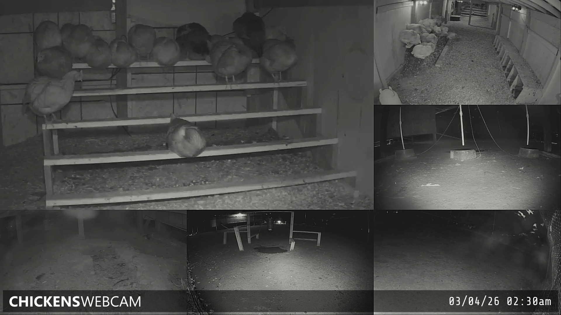 Twitch Stream Preview