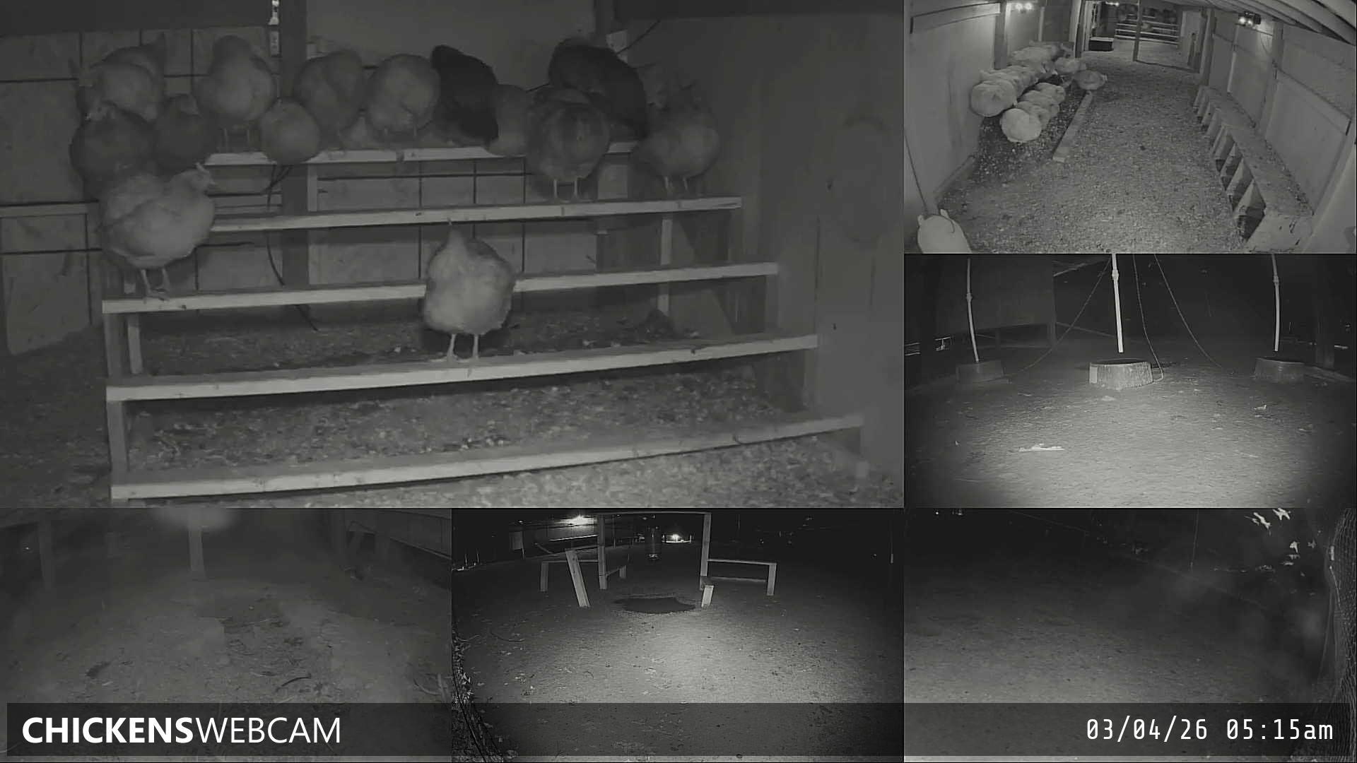 Twitch Stream Preview