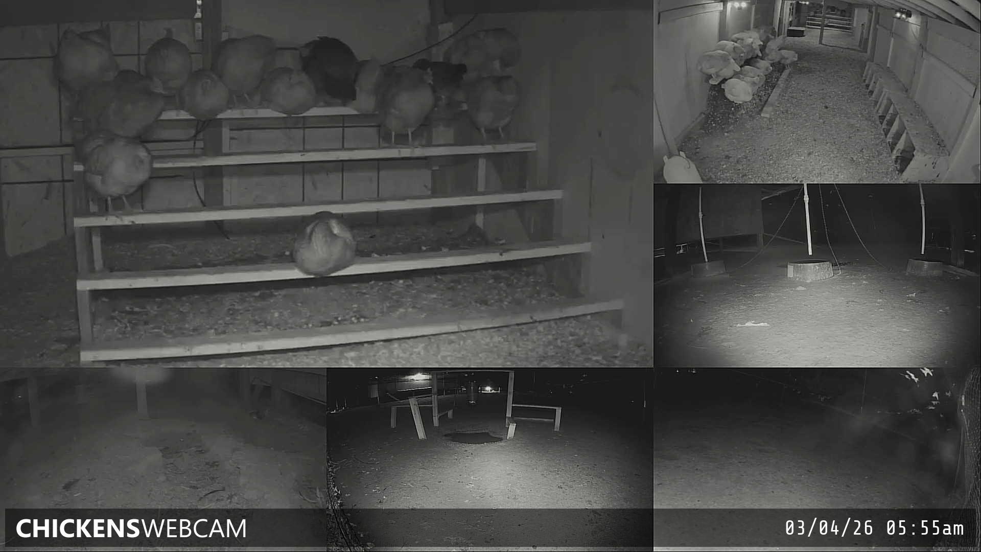 Twitch Stream Preview