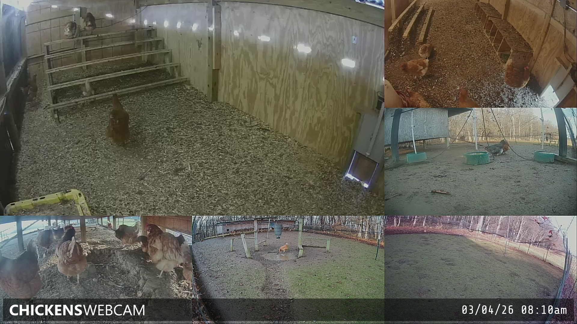 Twitch Stream Preview