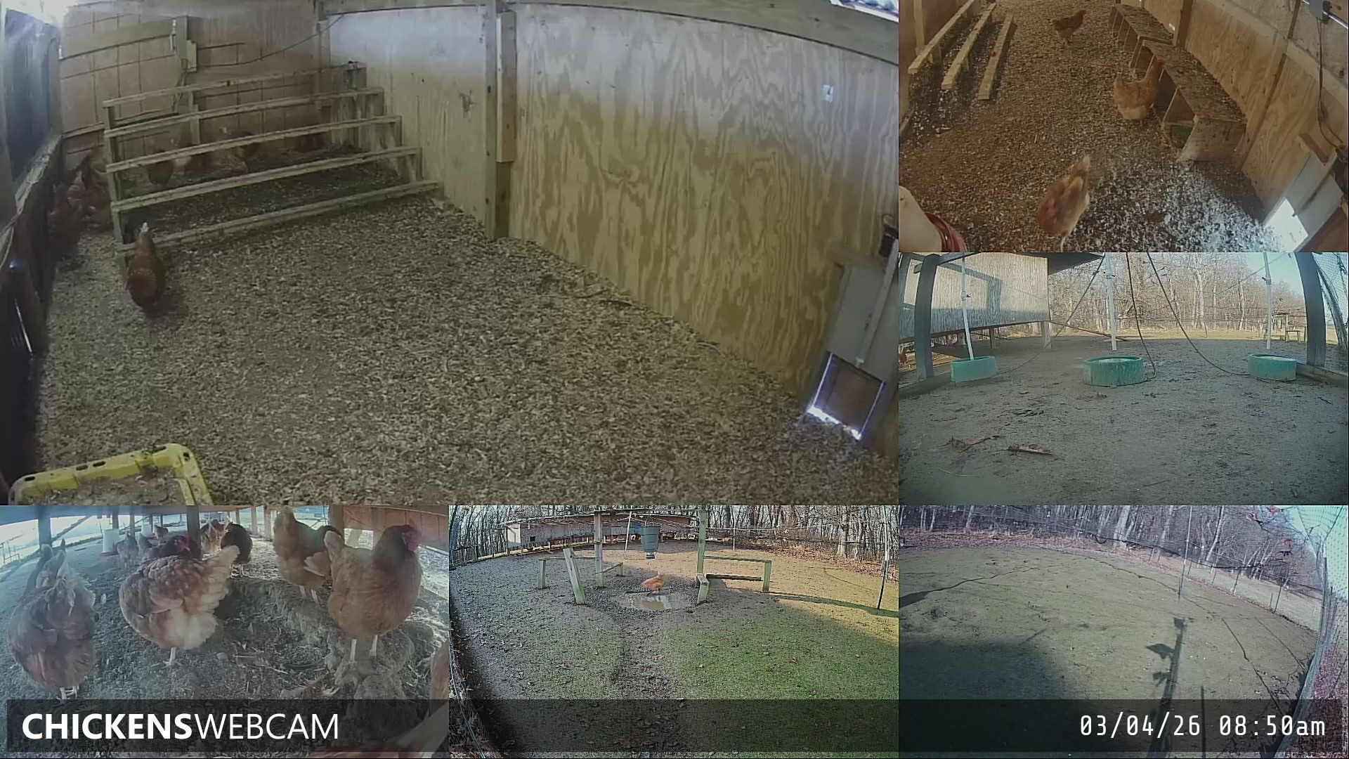 Twitch Stream Preview