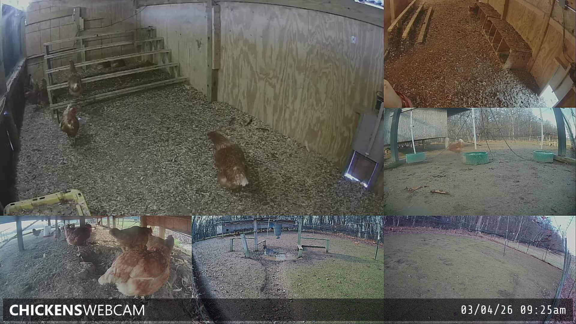 Twitch Stream Preview