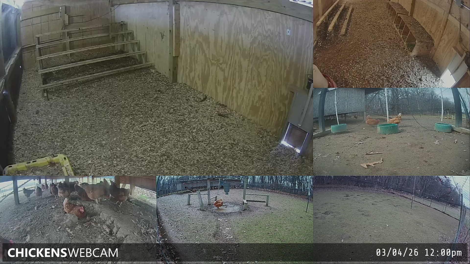 Twitch Stream Preview