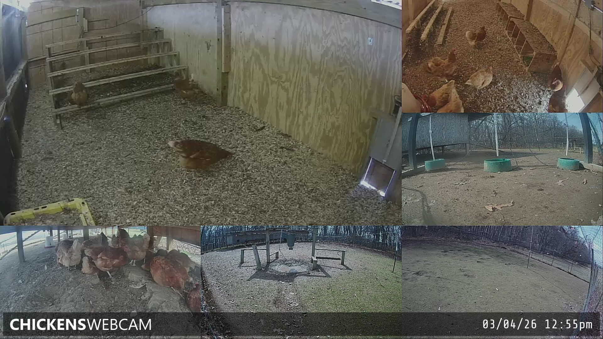 Twitch Stream Preview