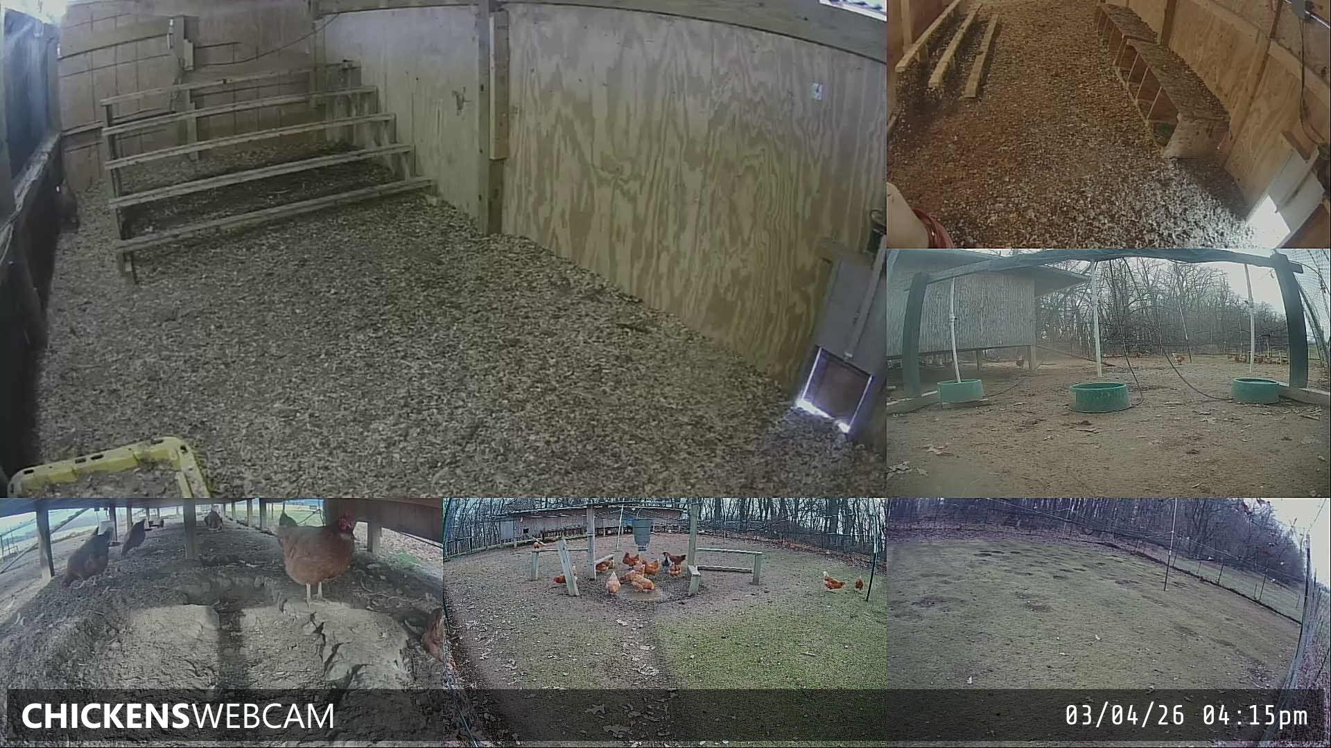 Twitch Stream Preview