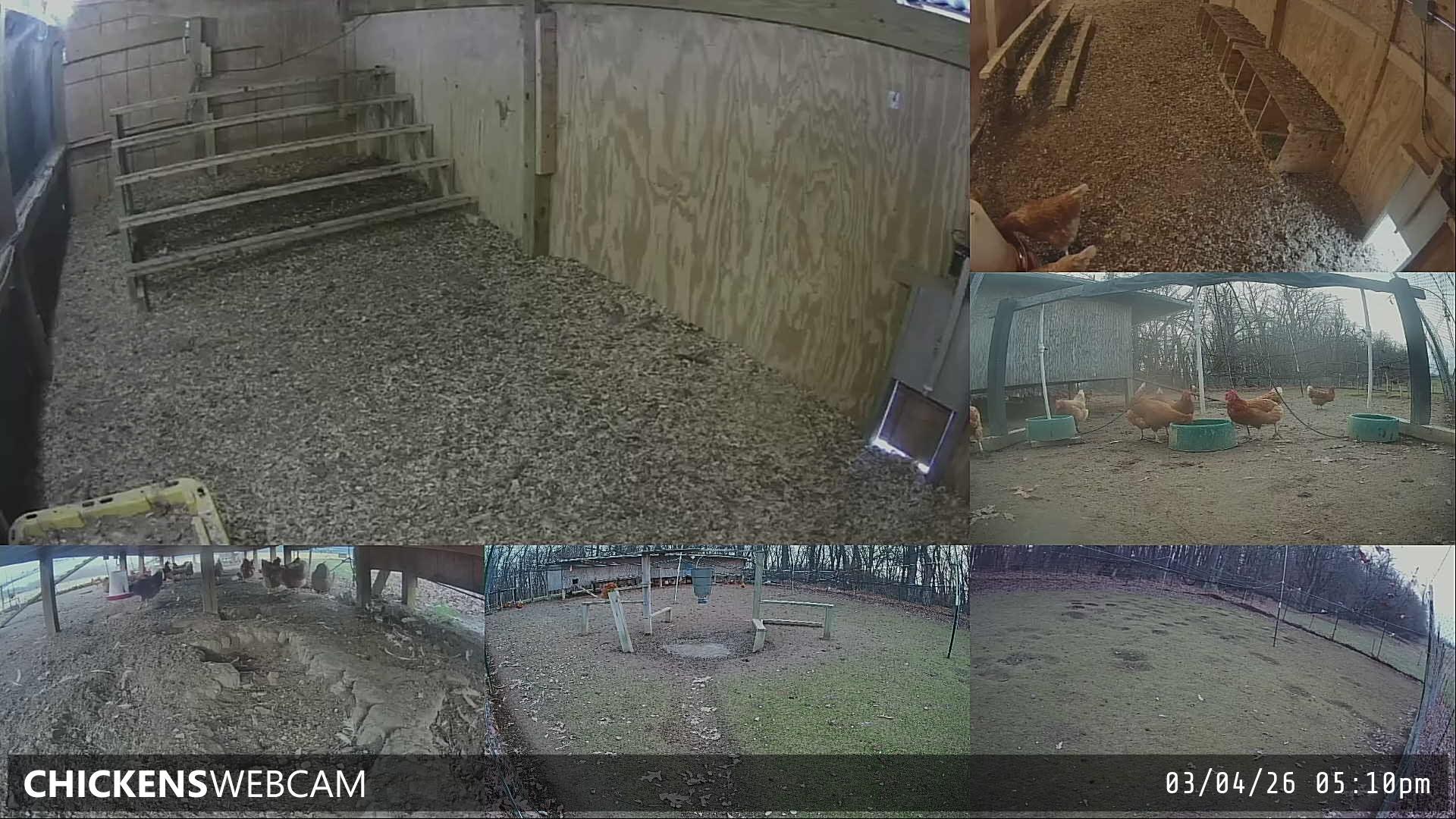 Twitch Stream Preview